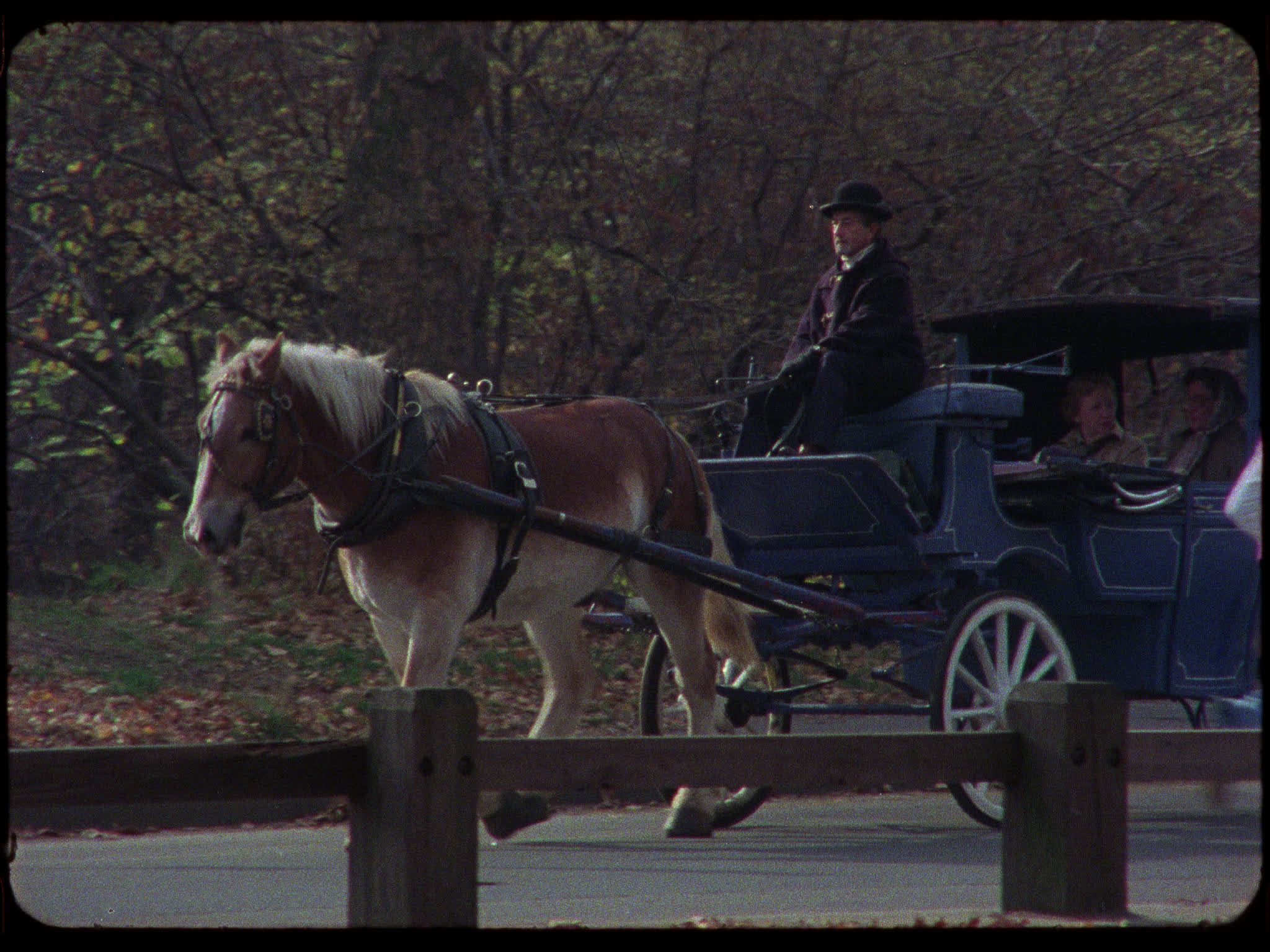 Central Park Carriage Ride