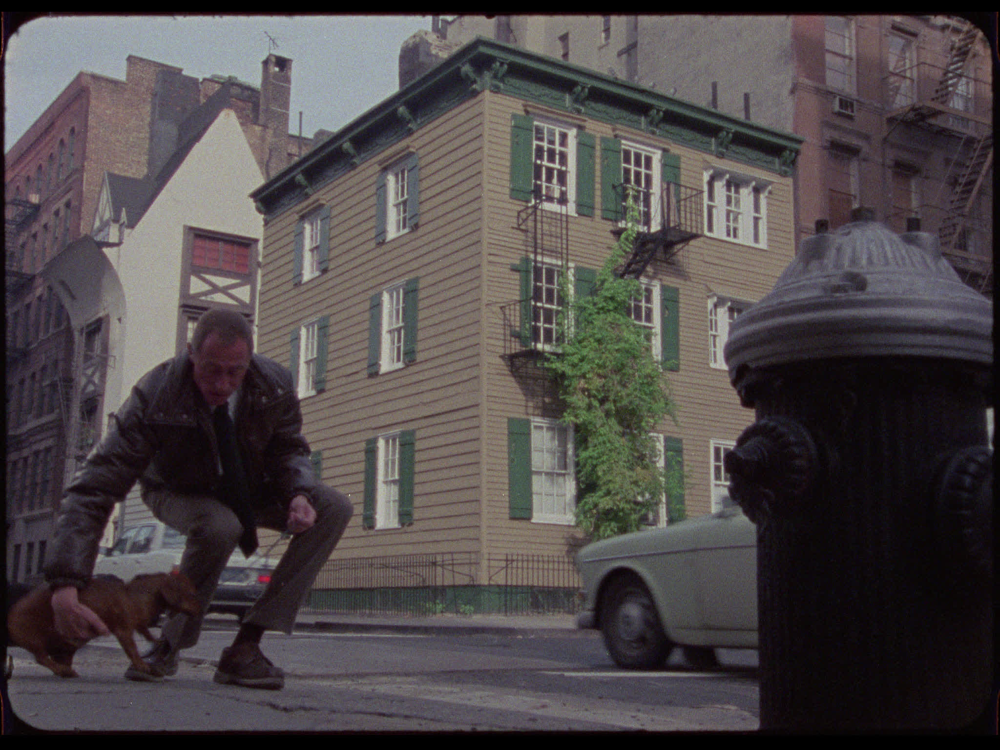 Dachshunds in the City