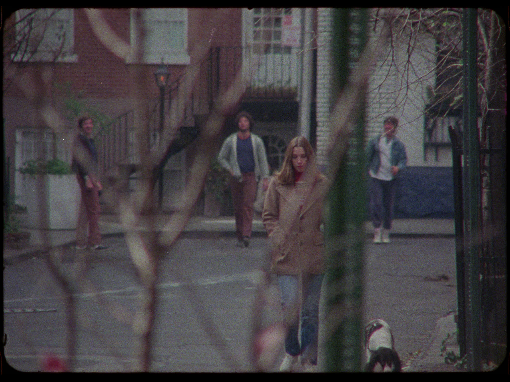 Catcalling in New York