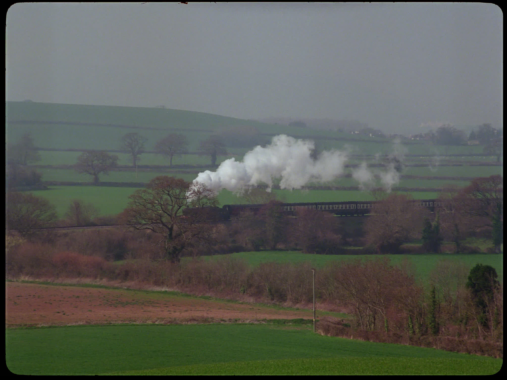 Steam Train