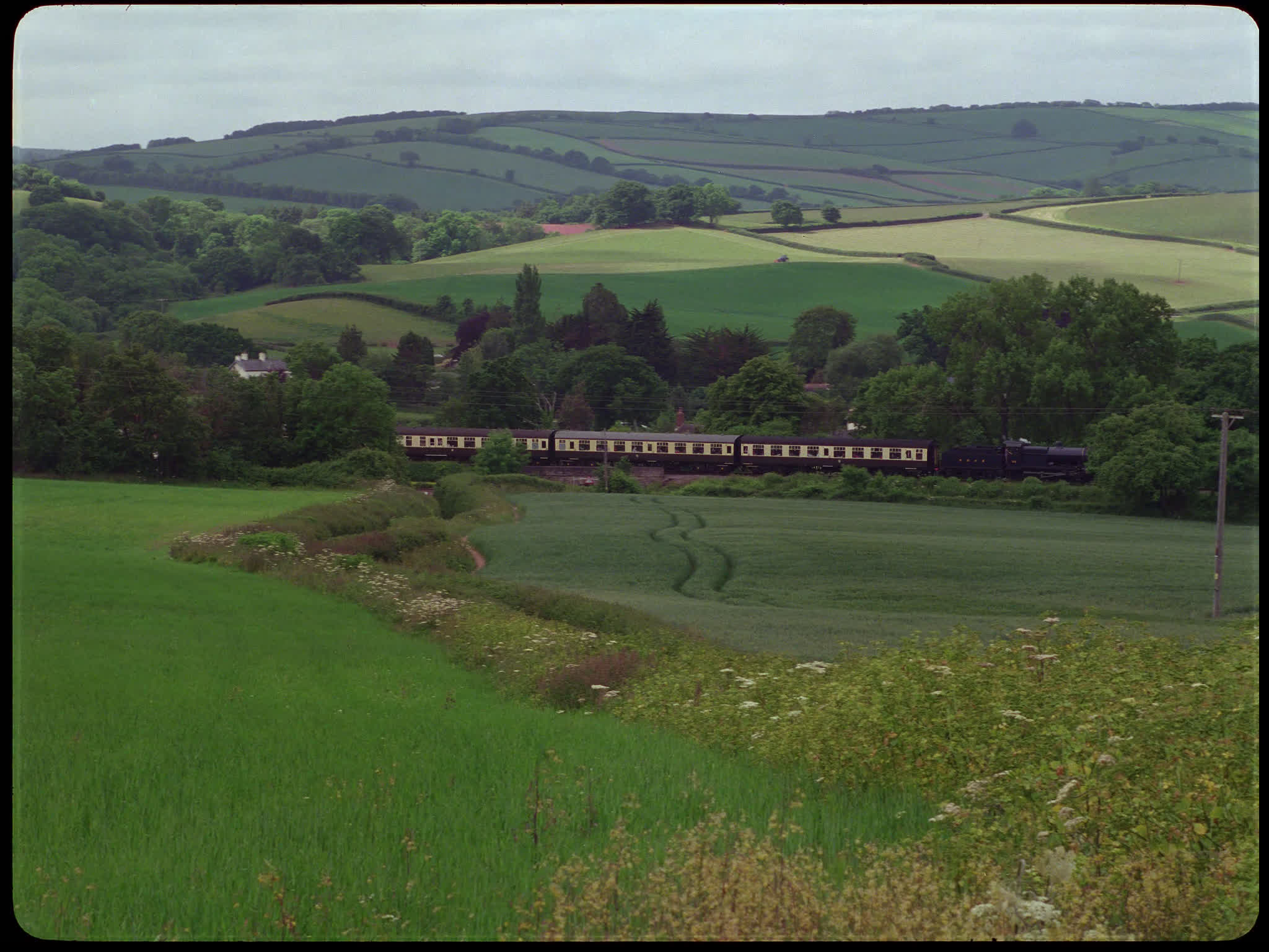Steam Train