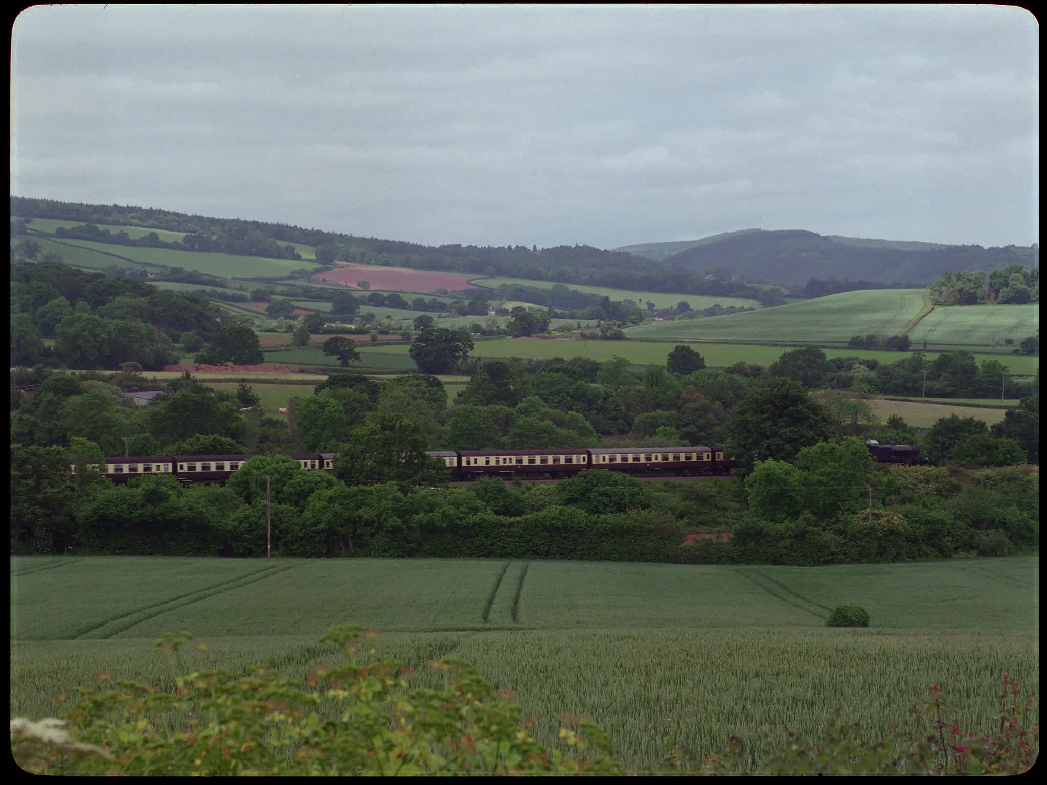 Steam Train