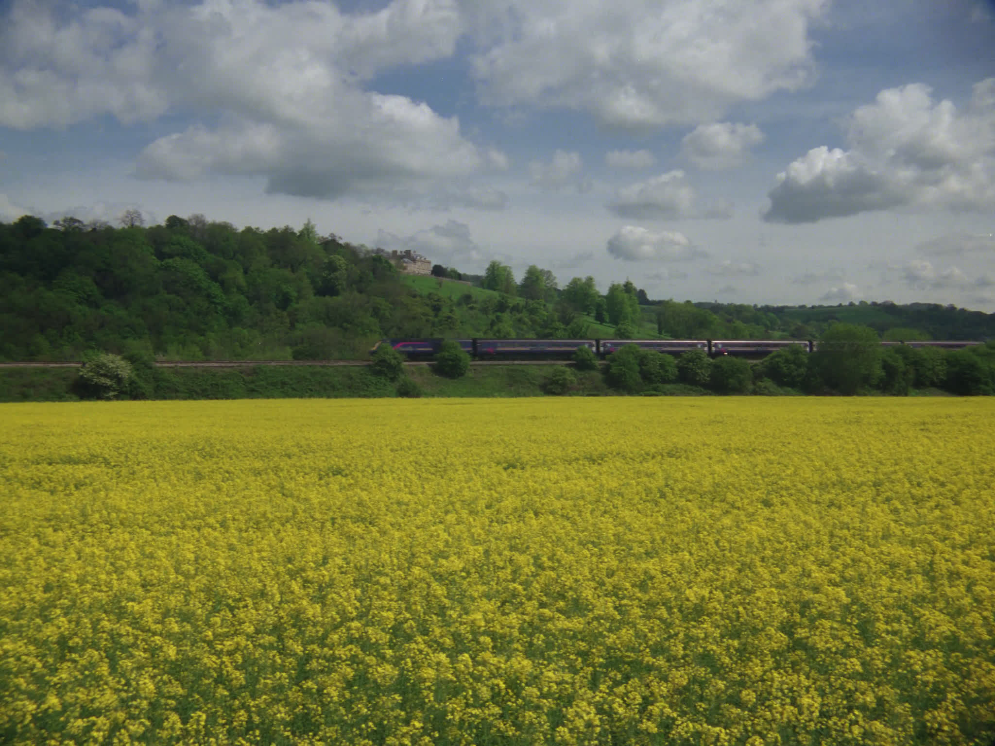 Train