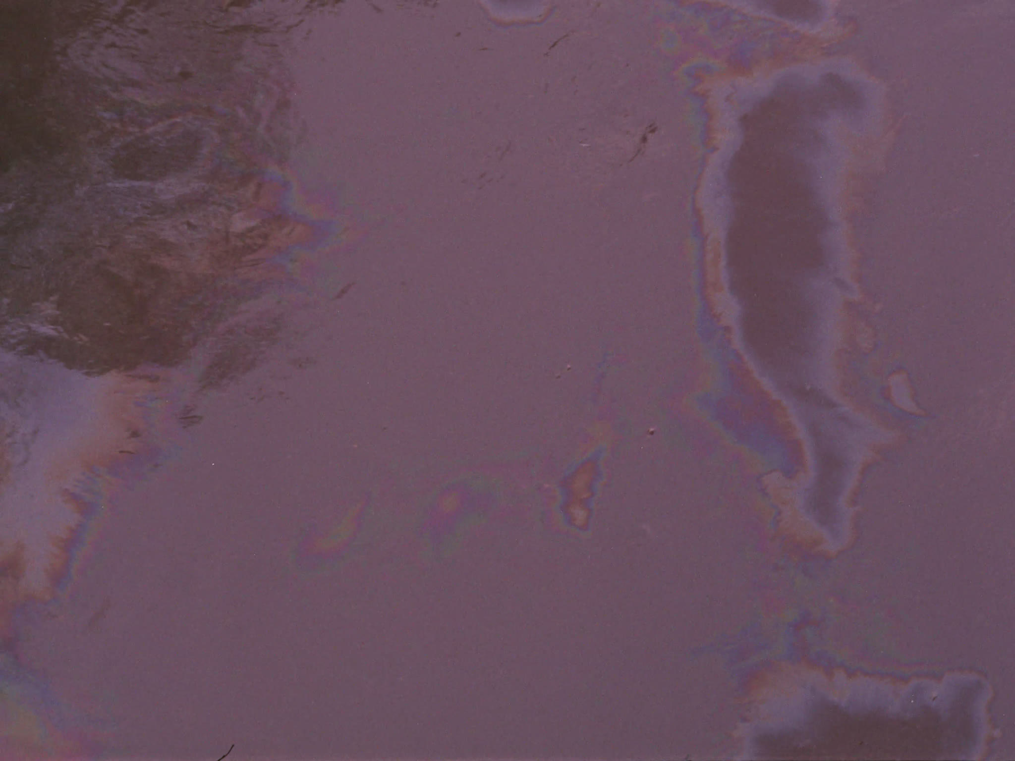 Water Pollution