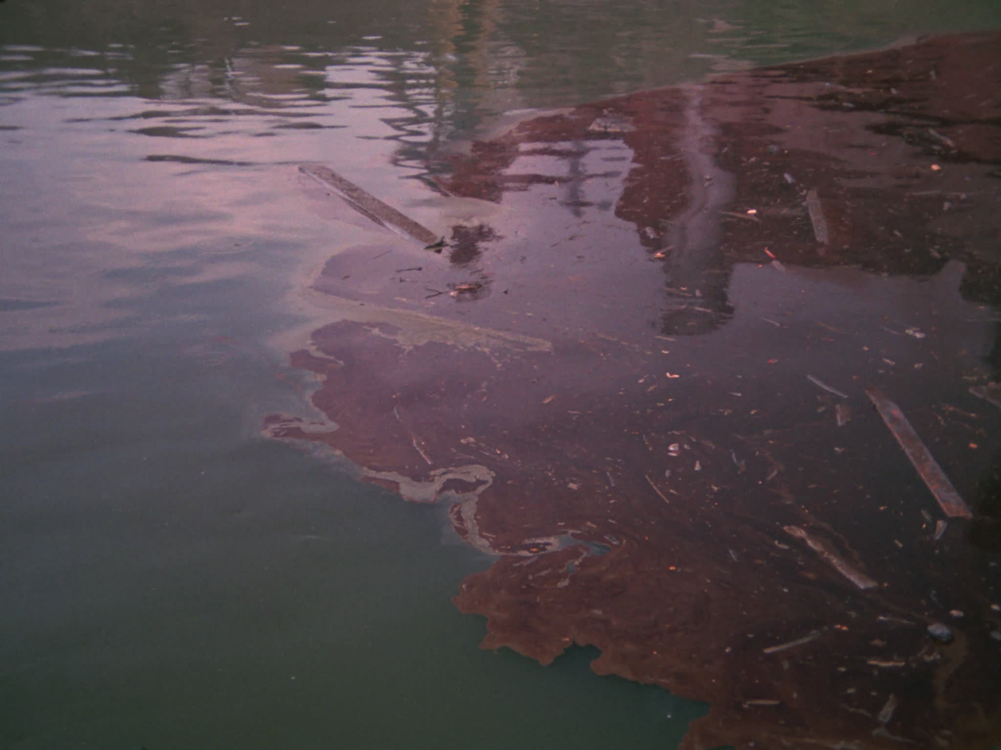 Water Pollution