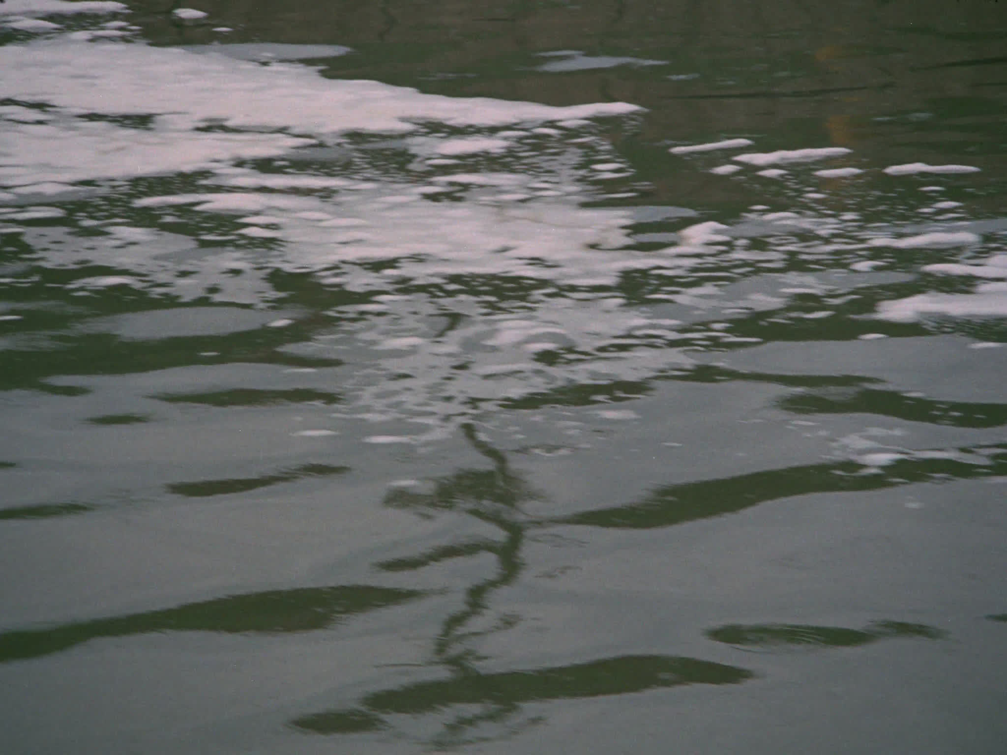 Water Pollution