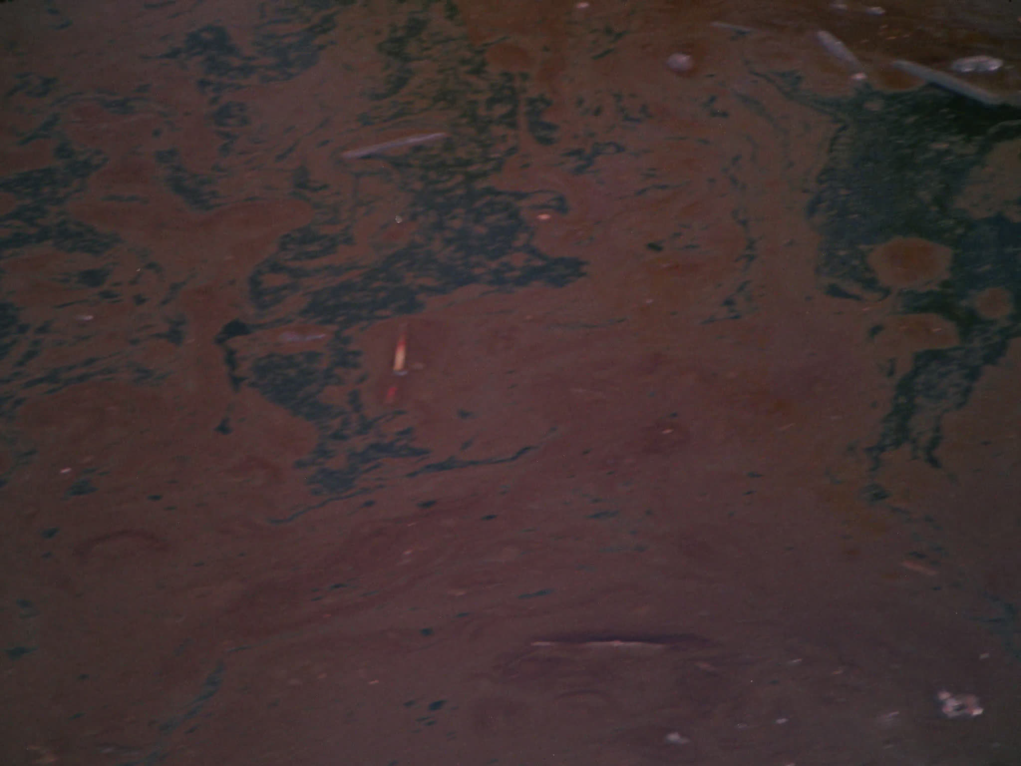 Water Pollution