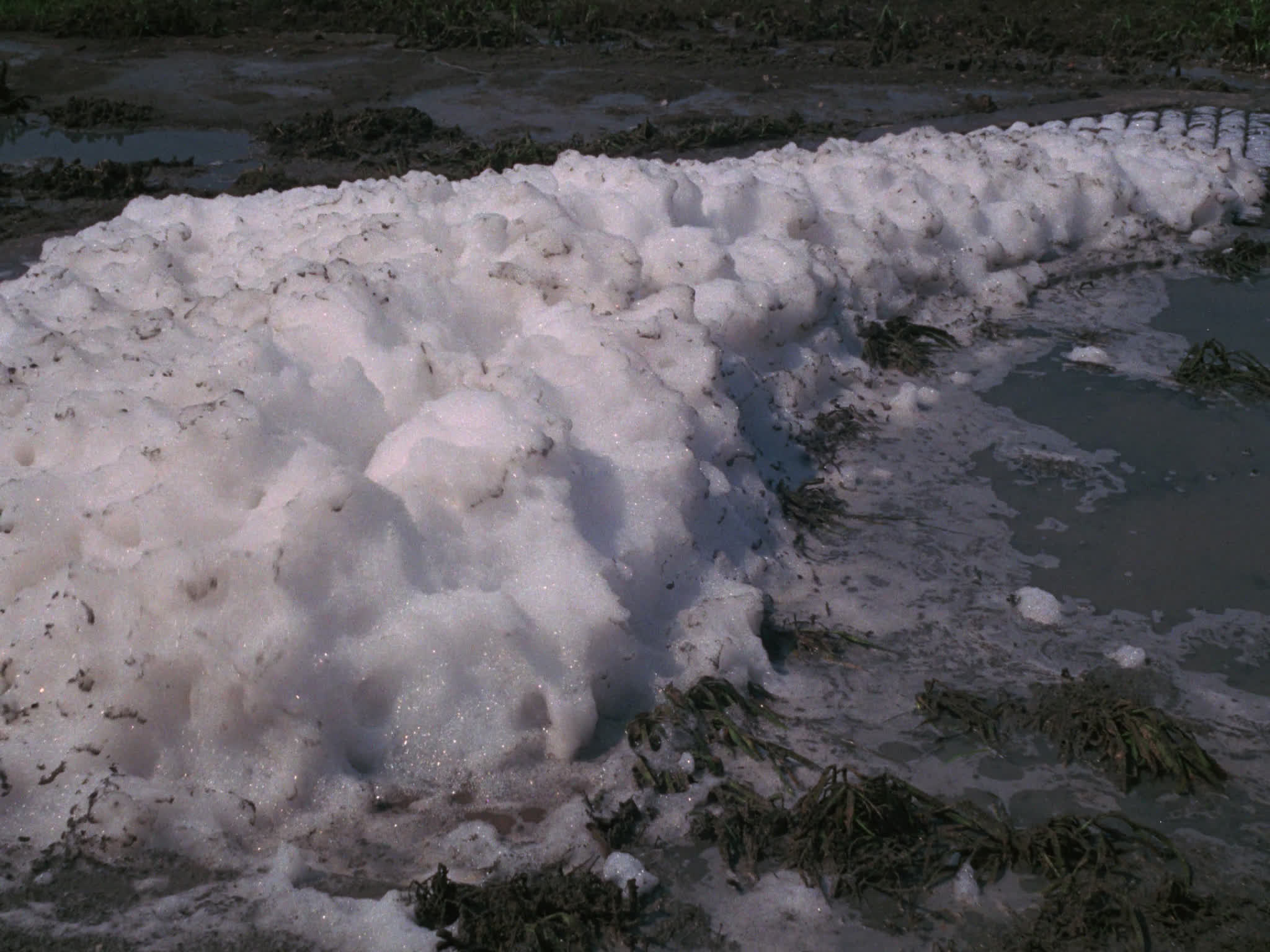Water Pollution