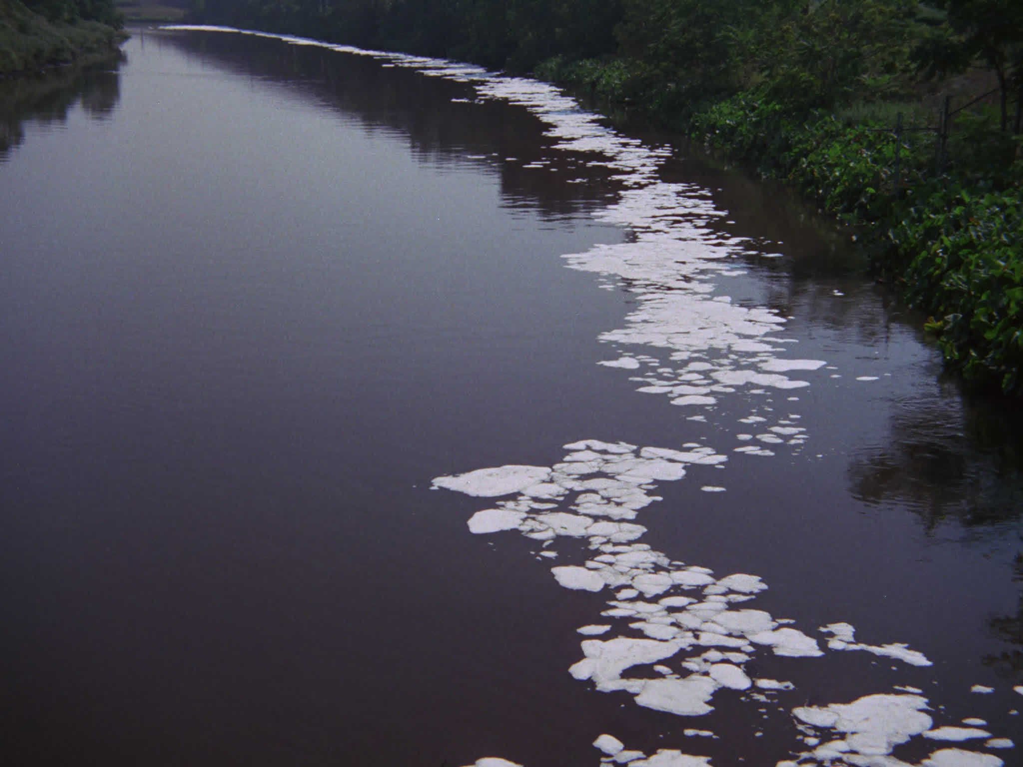 Water Pollution