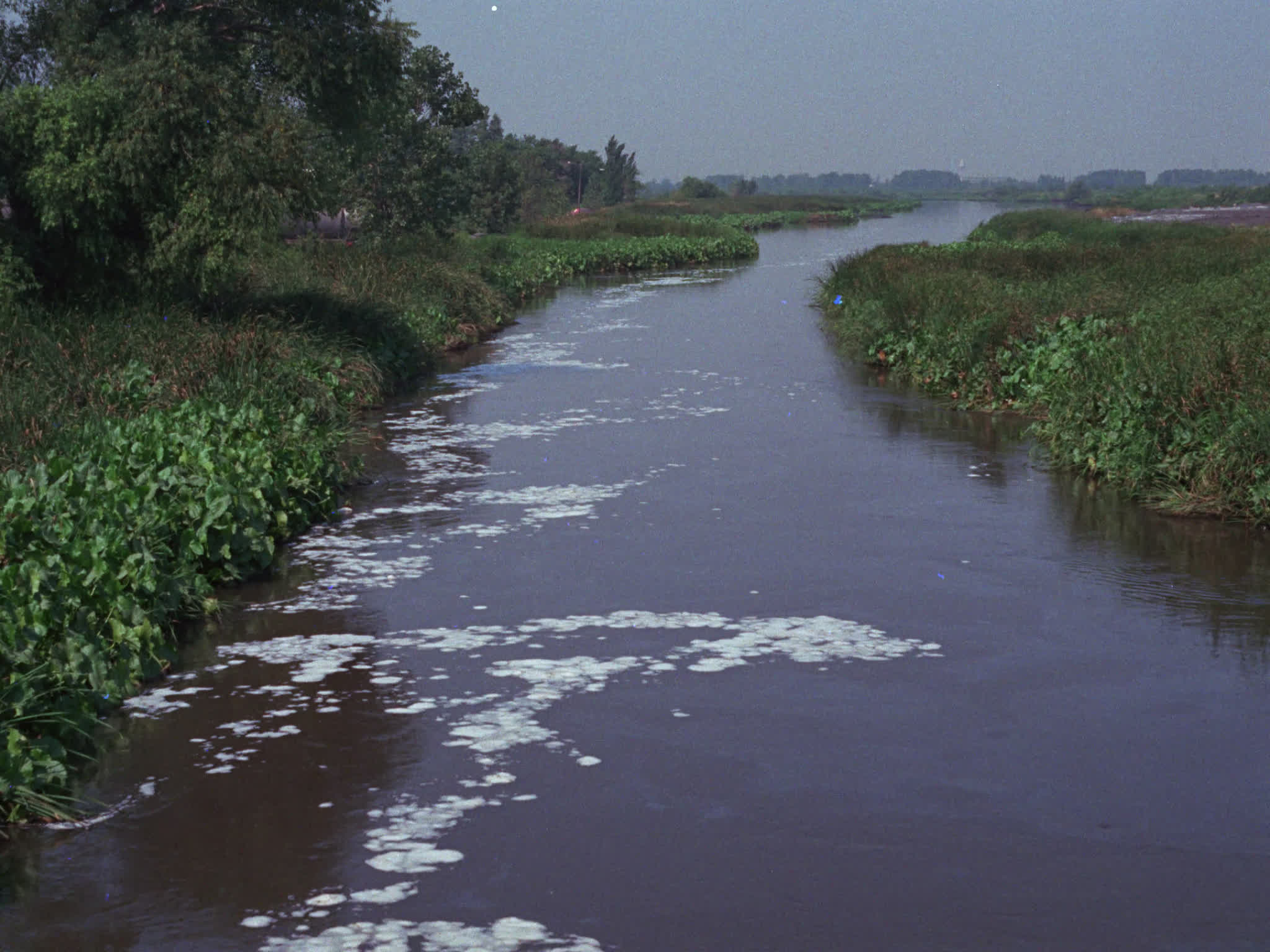 Water Pollution
