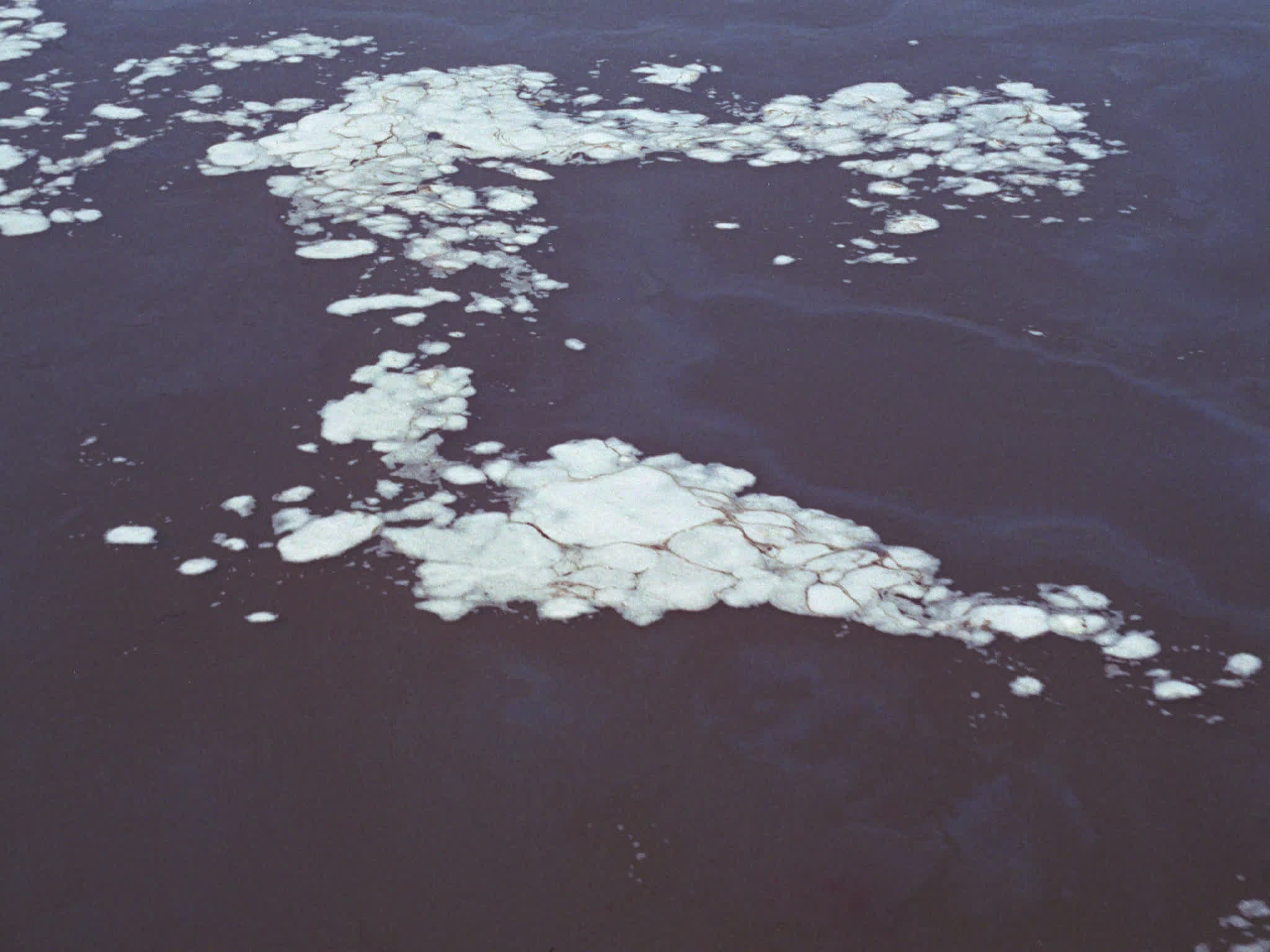 Water Pollution