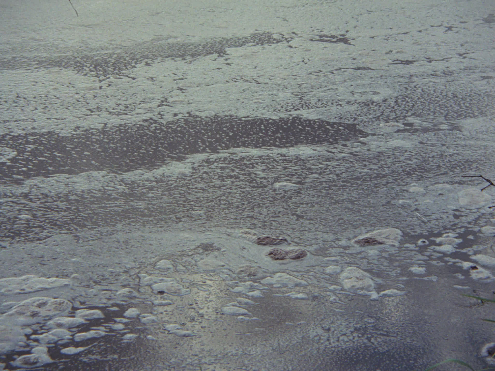 Water Pollution