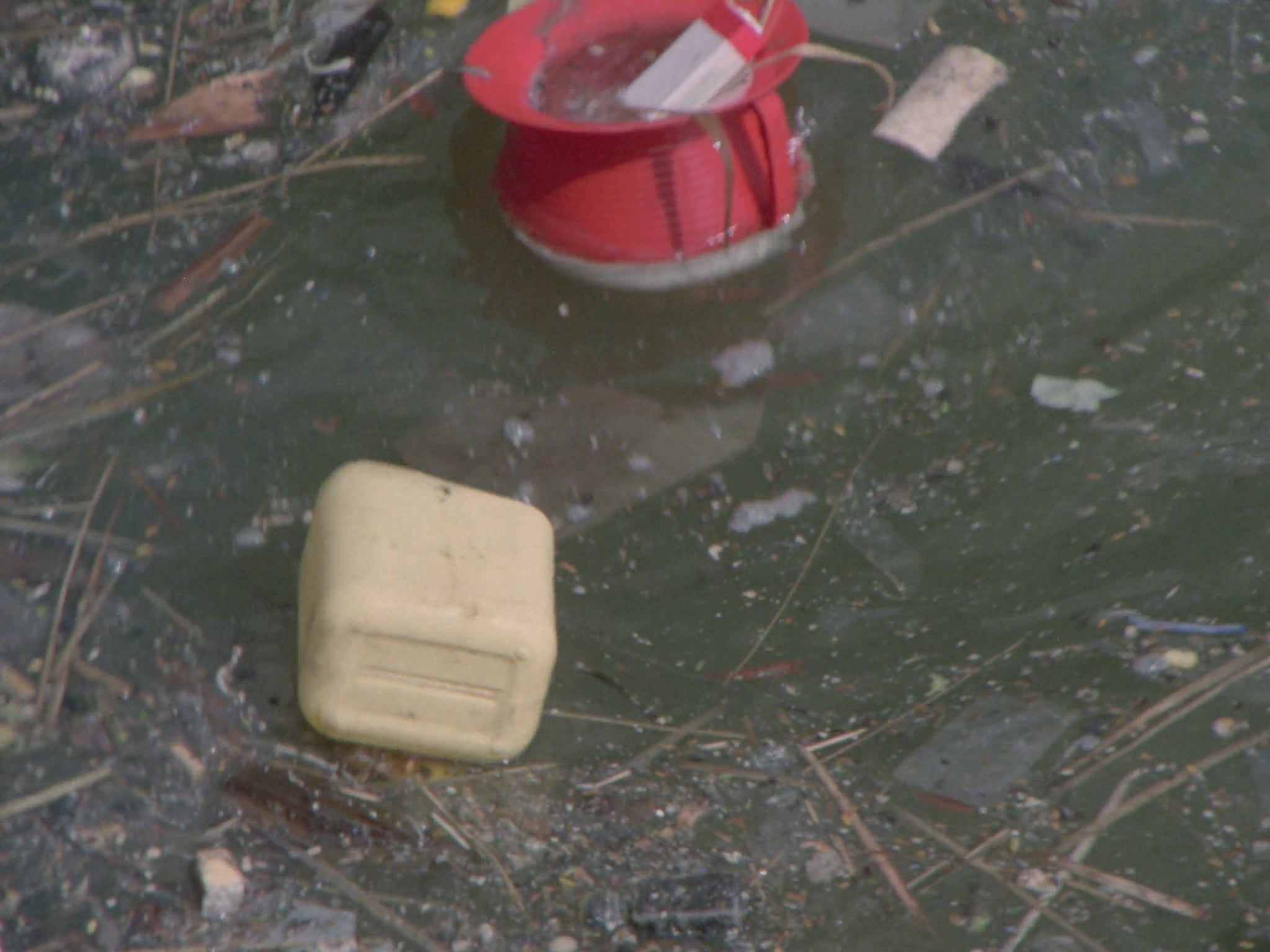 Water Pollution