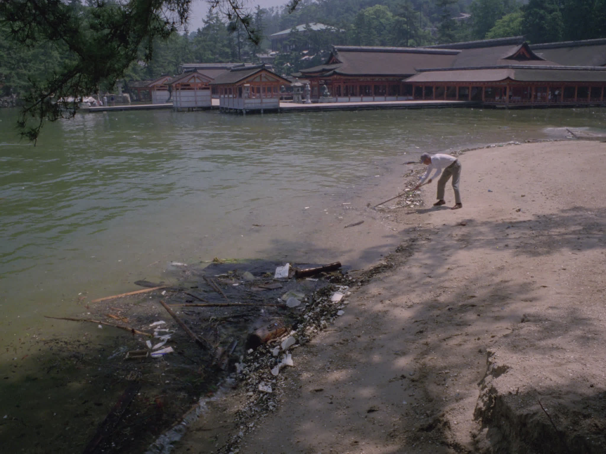 Water Pollution