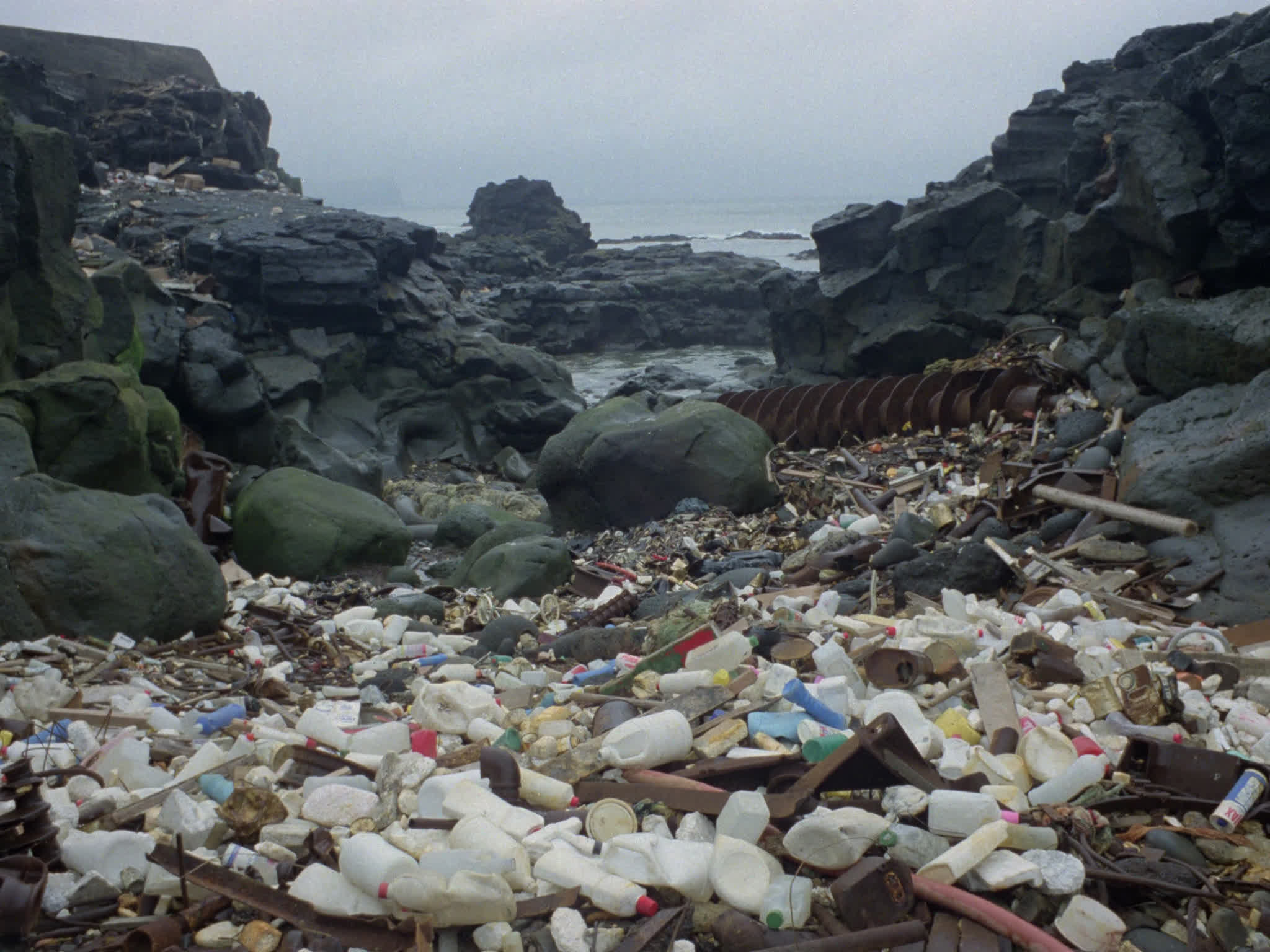 Water Pollution