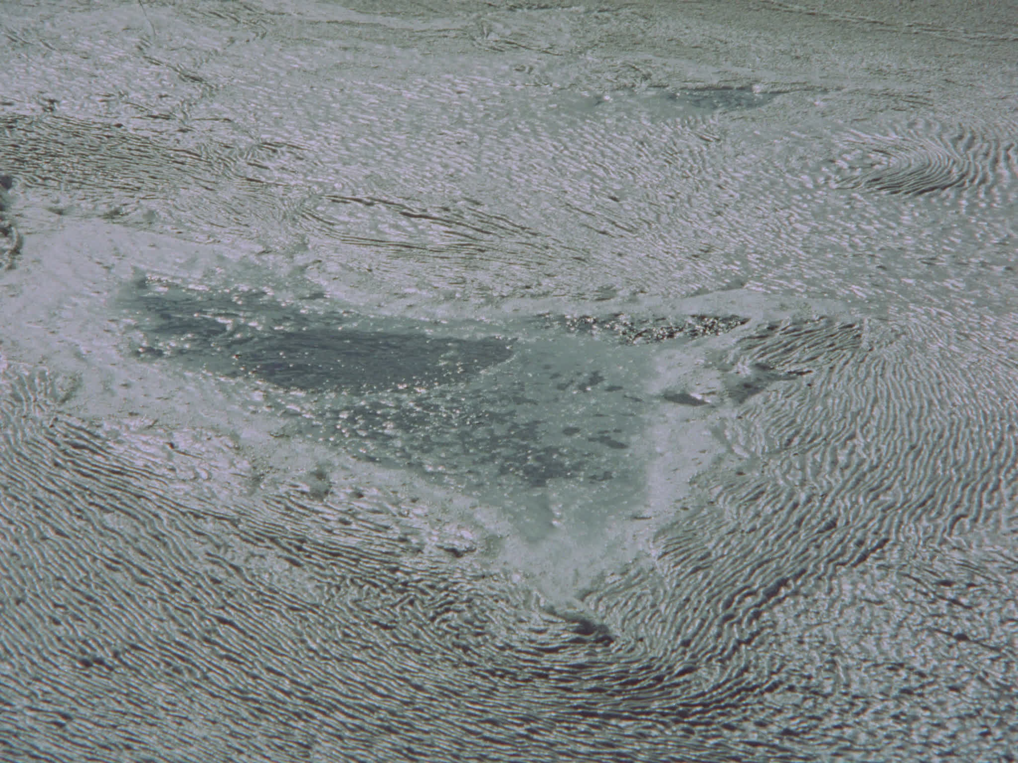 Water Pollution