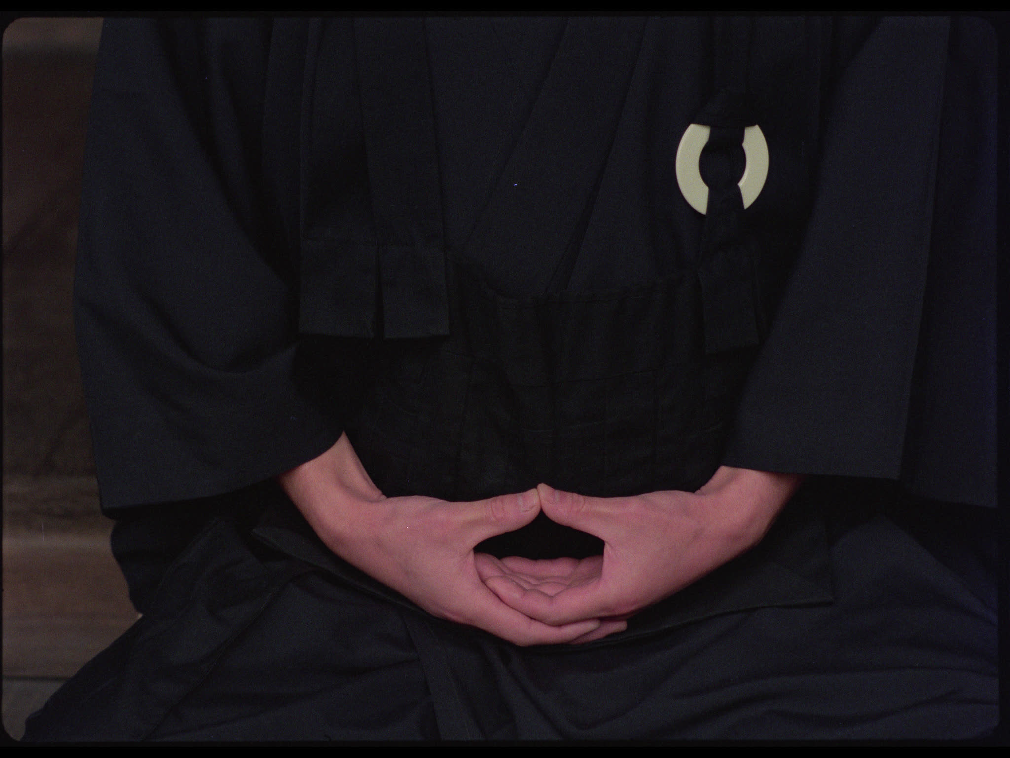 Zen Monk's Hands