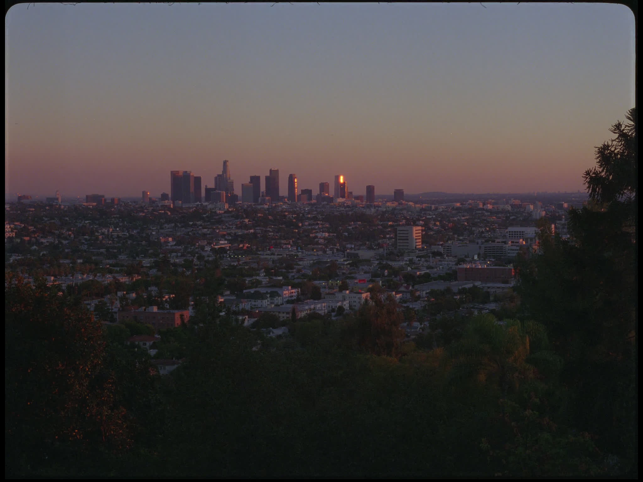 Los Angeles Skyline