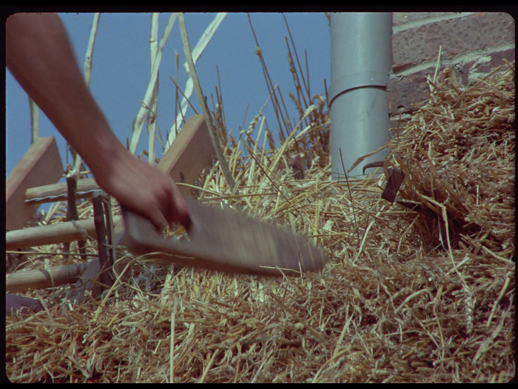 Close Up of Roof Thatching