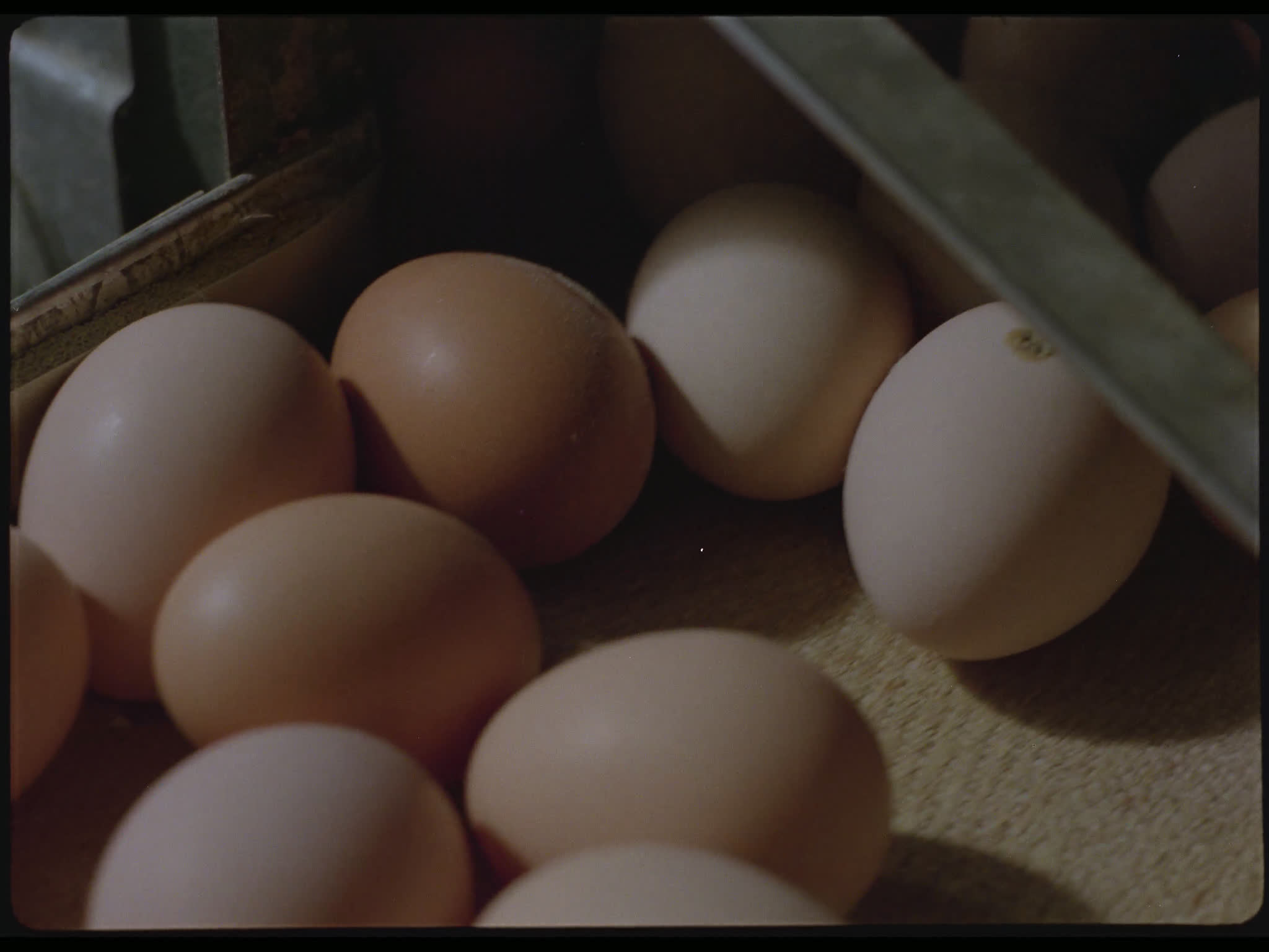 Eggs