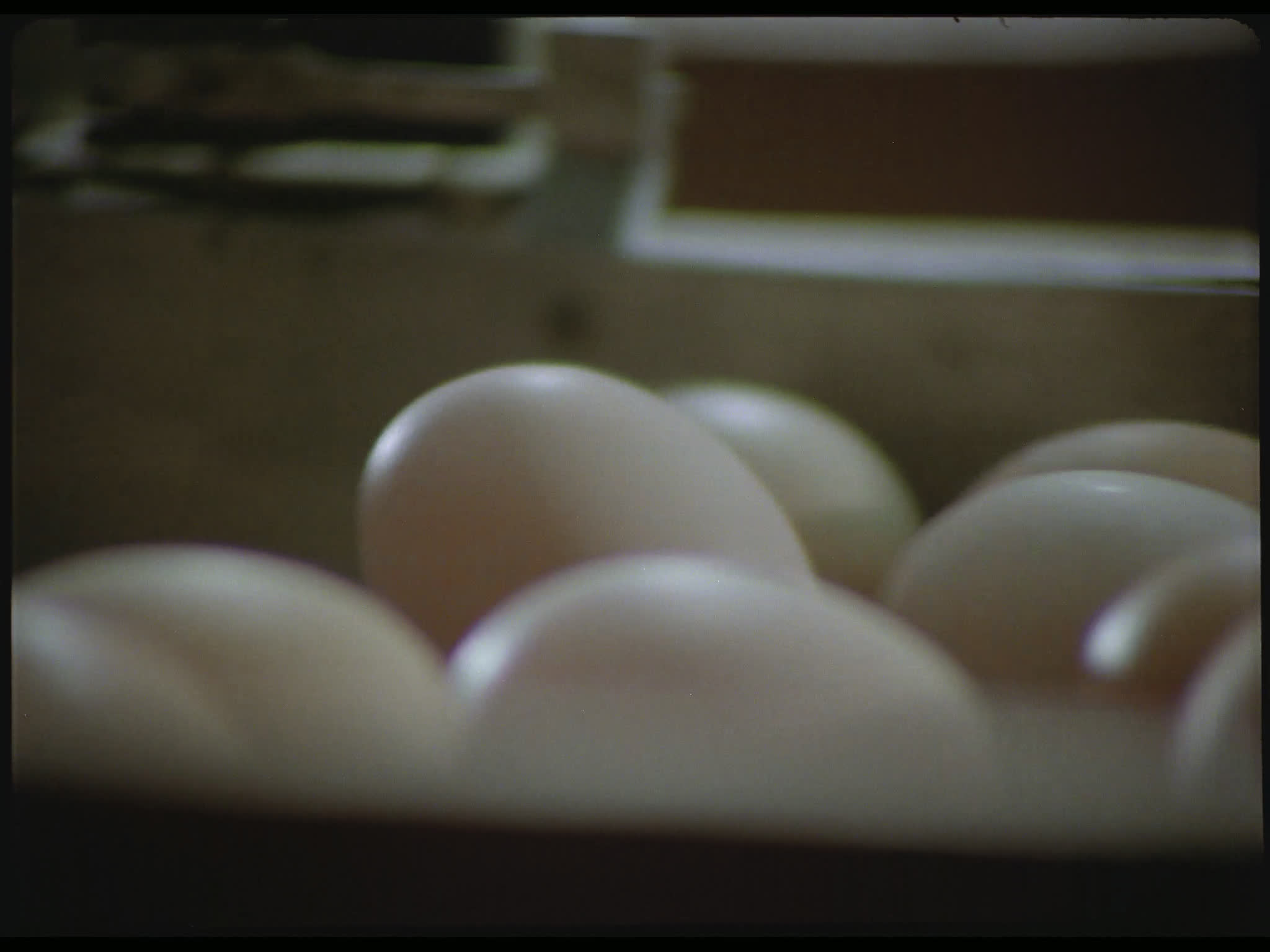 Eggs