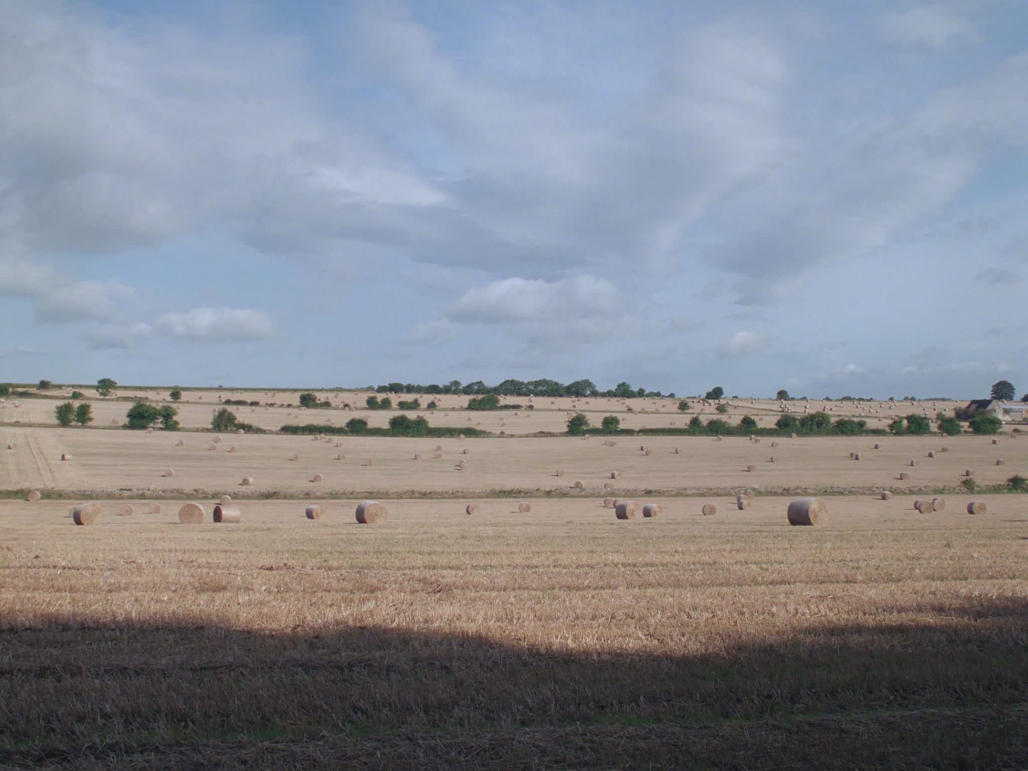 Bales of Hay in a Field