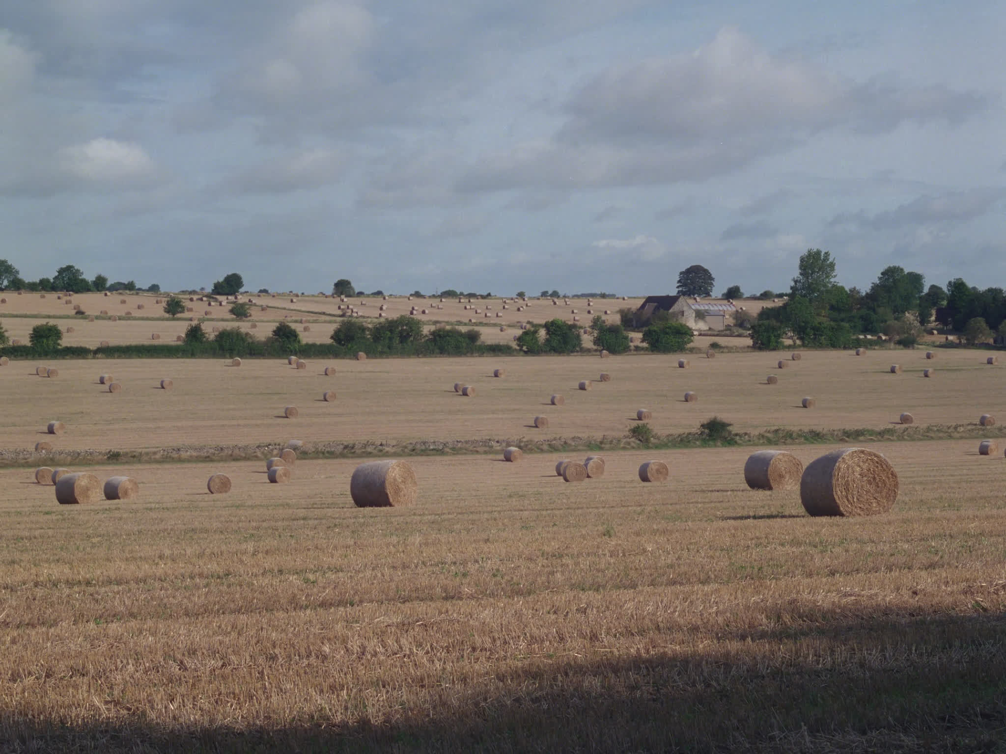 Bales of Hay in a Field