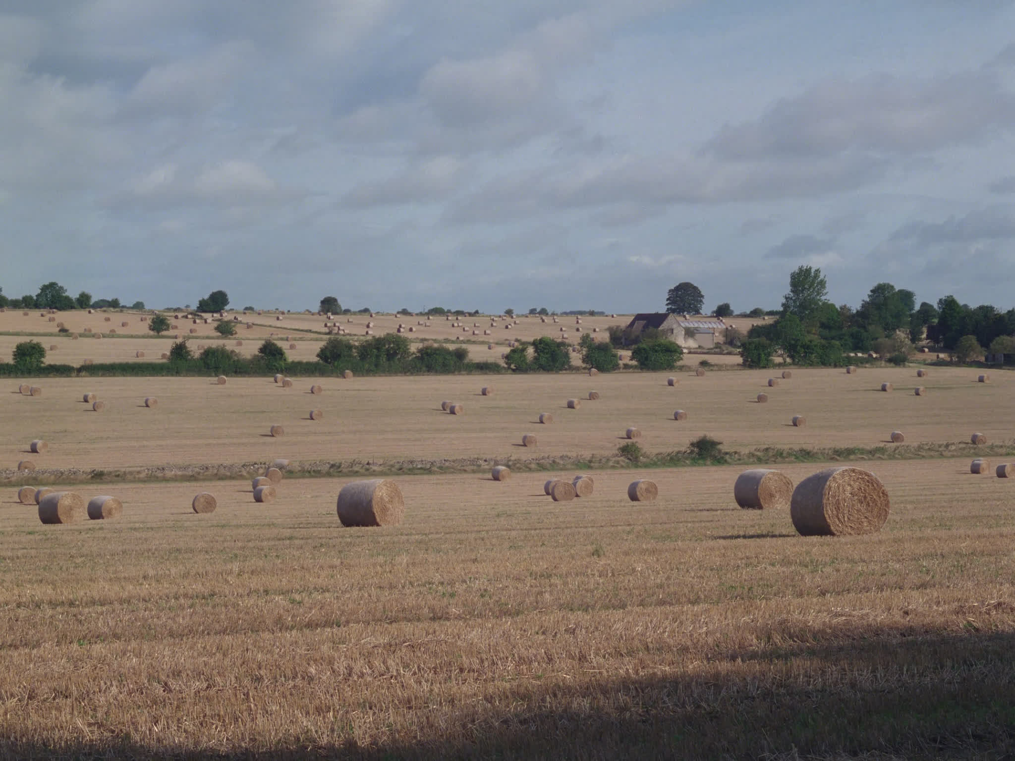 Bales of Hay in a Field