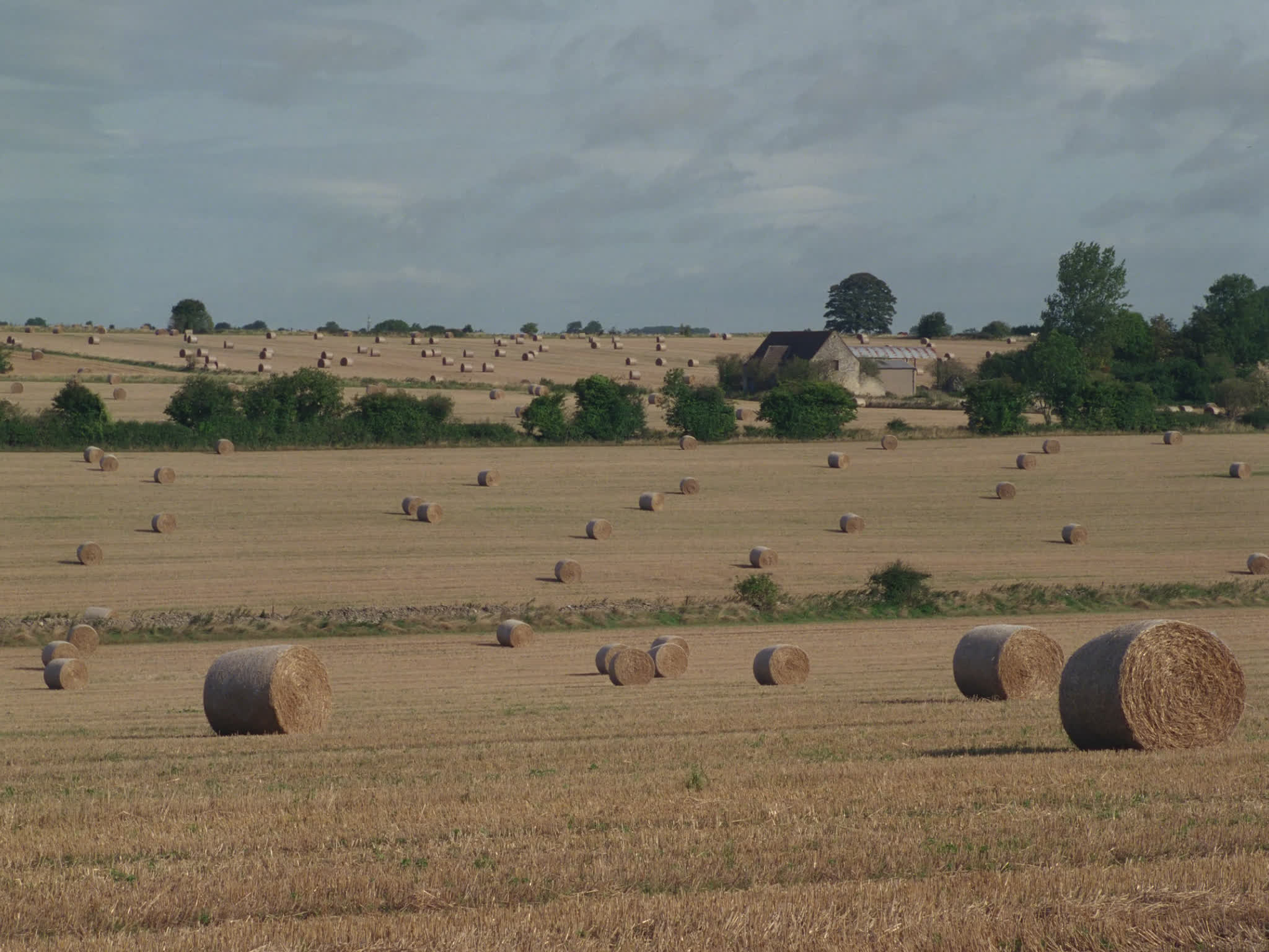 Bales of Hay in a Field