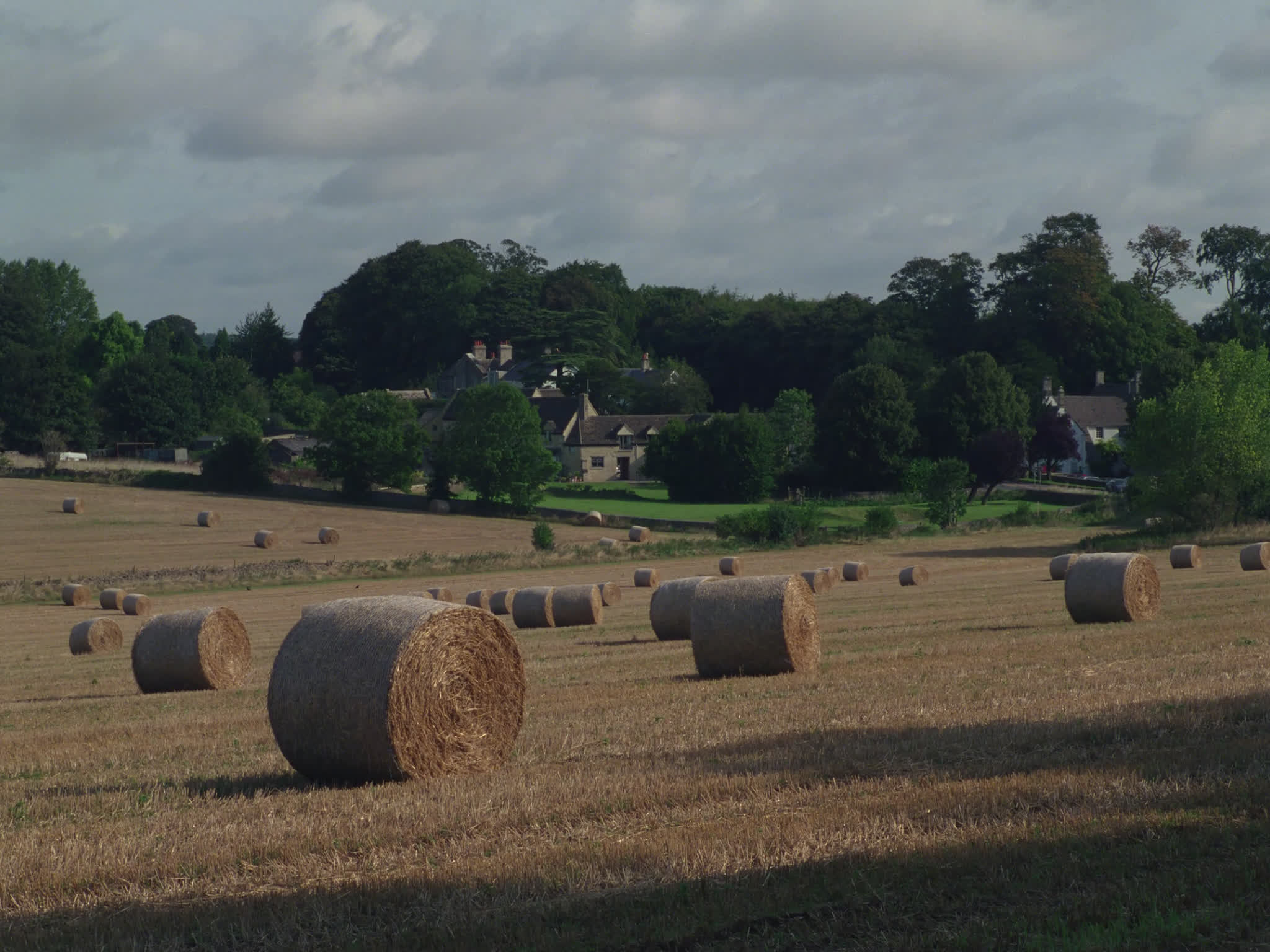Bales of Hay in a Field