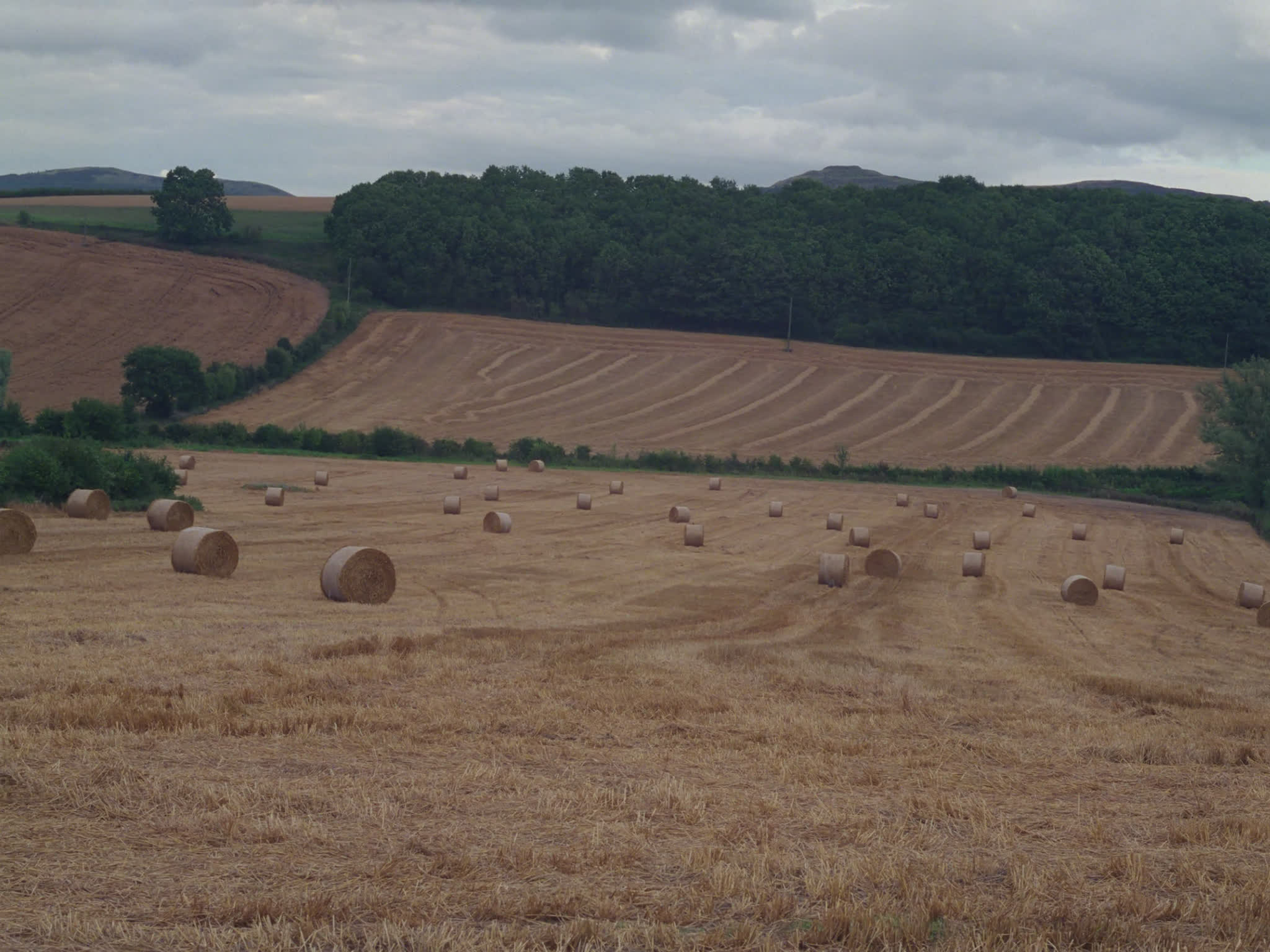Bales of Hay in a Field