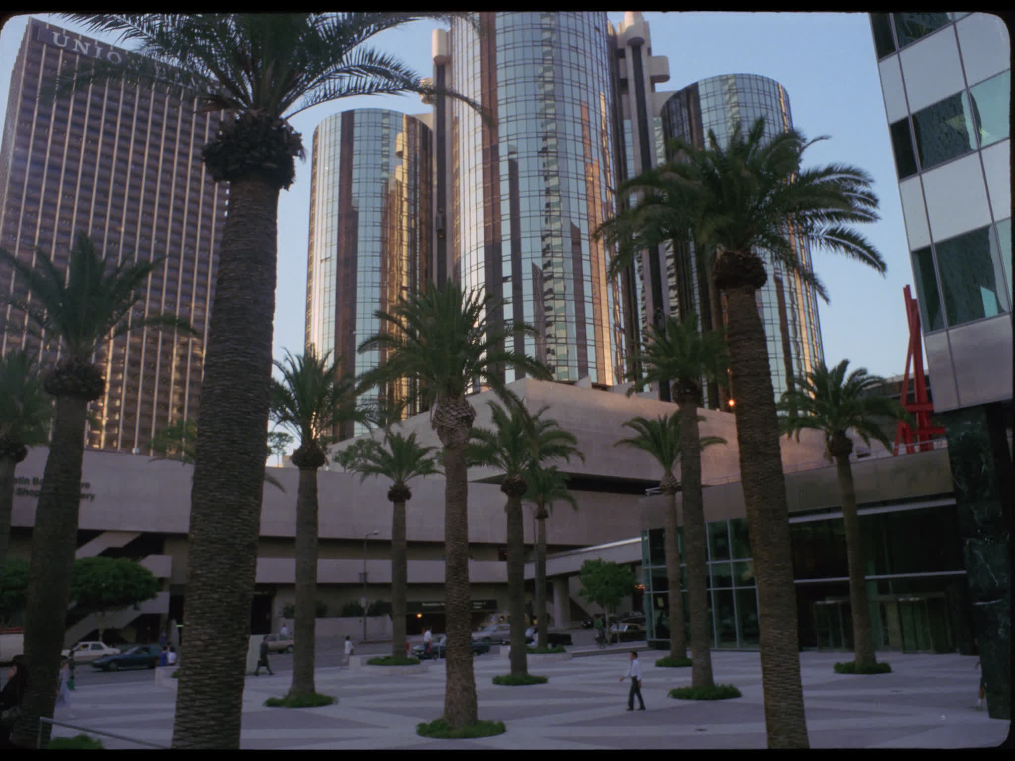 Palm Trees in Downtown Plaza