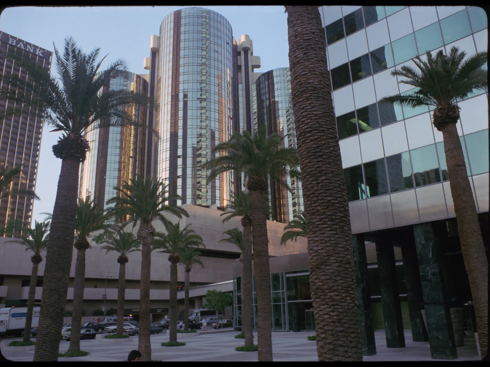Palm Trees in Downtown Plaza