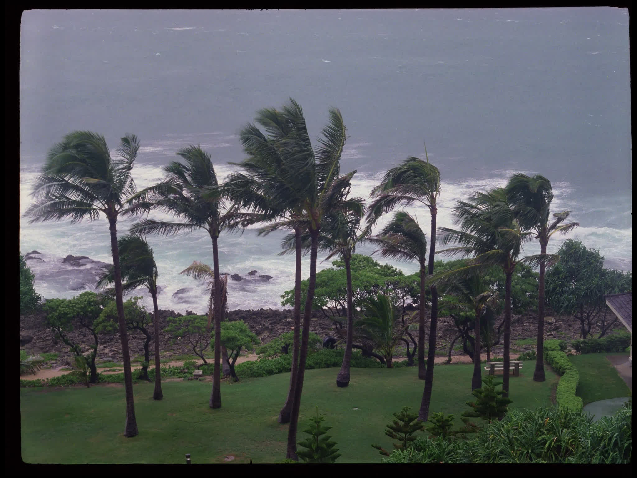 Tropical Storm