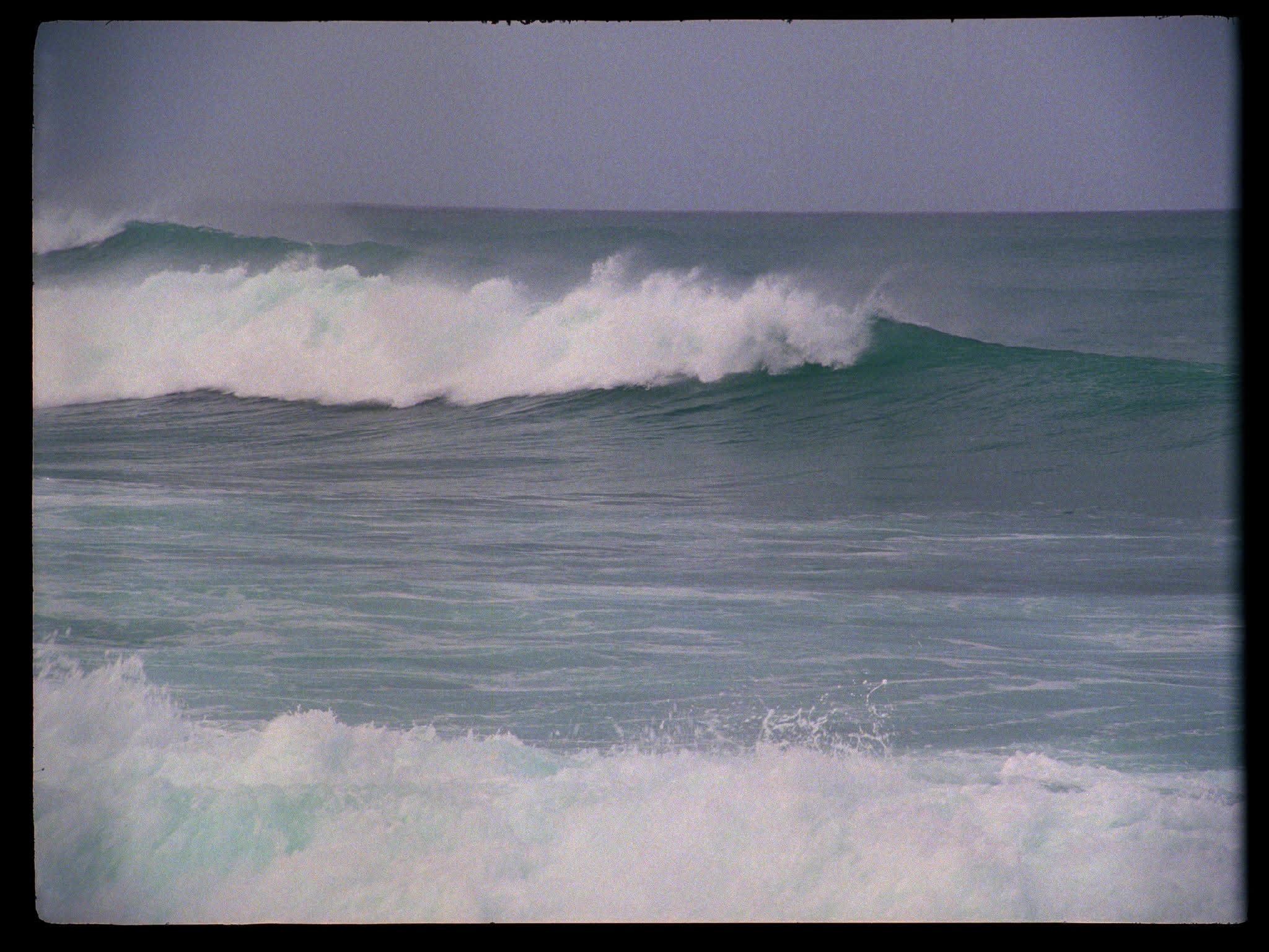 Hawaii Waves