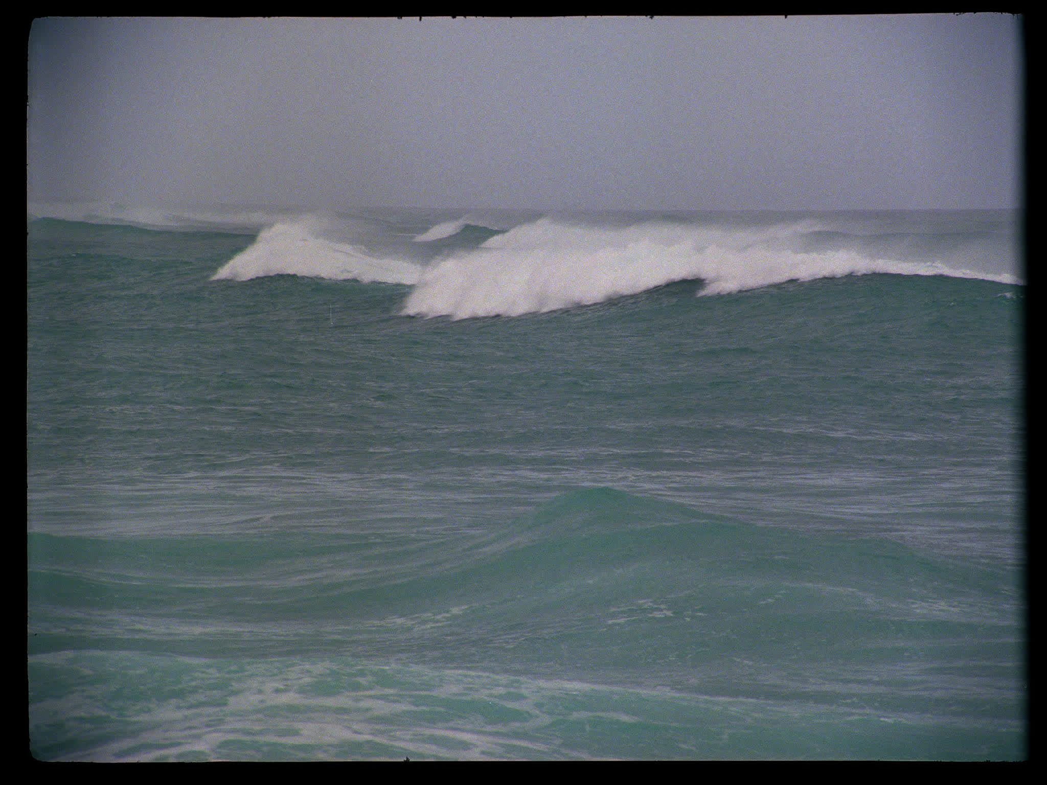 Hawaii Waves