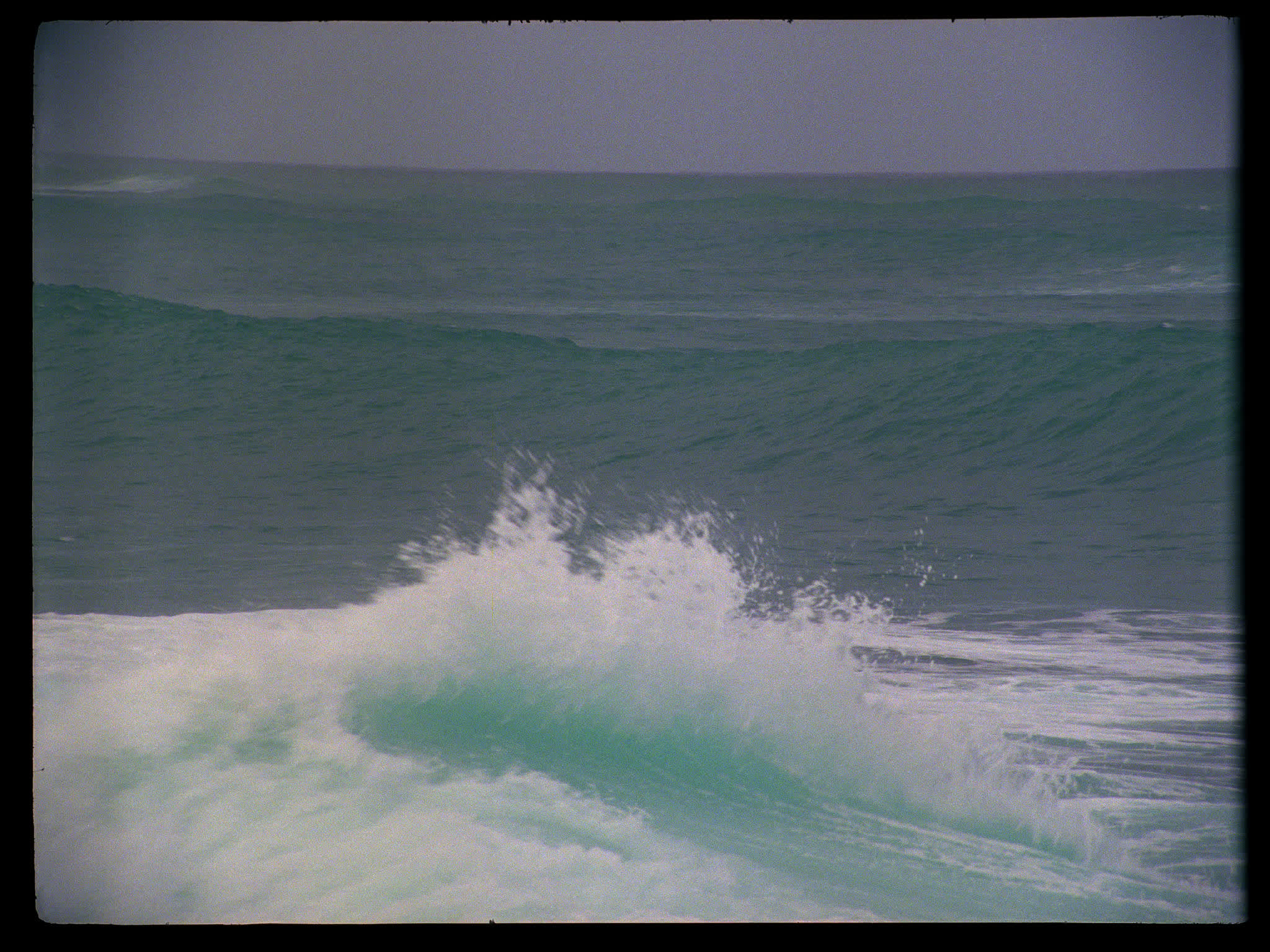Hawaii Waves Swimmer