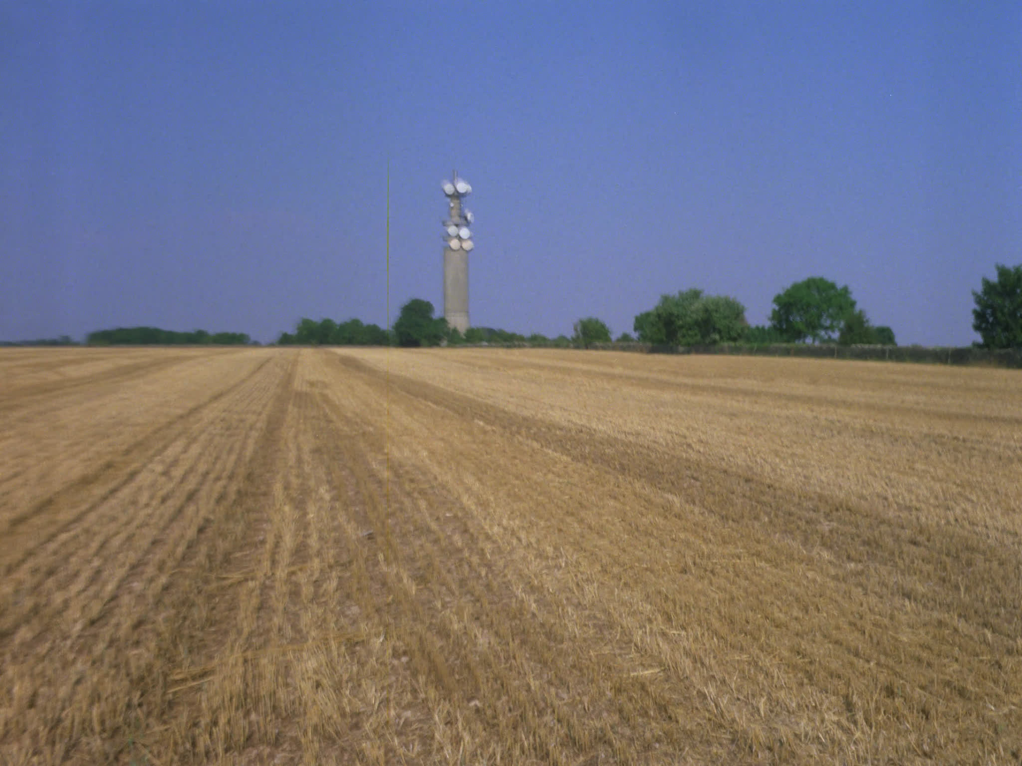 Hay Field