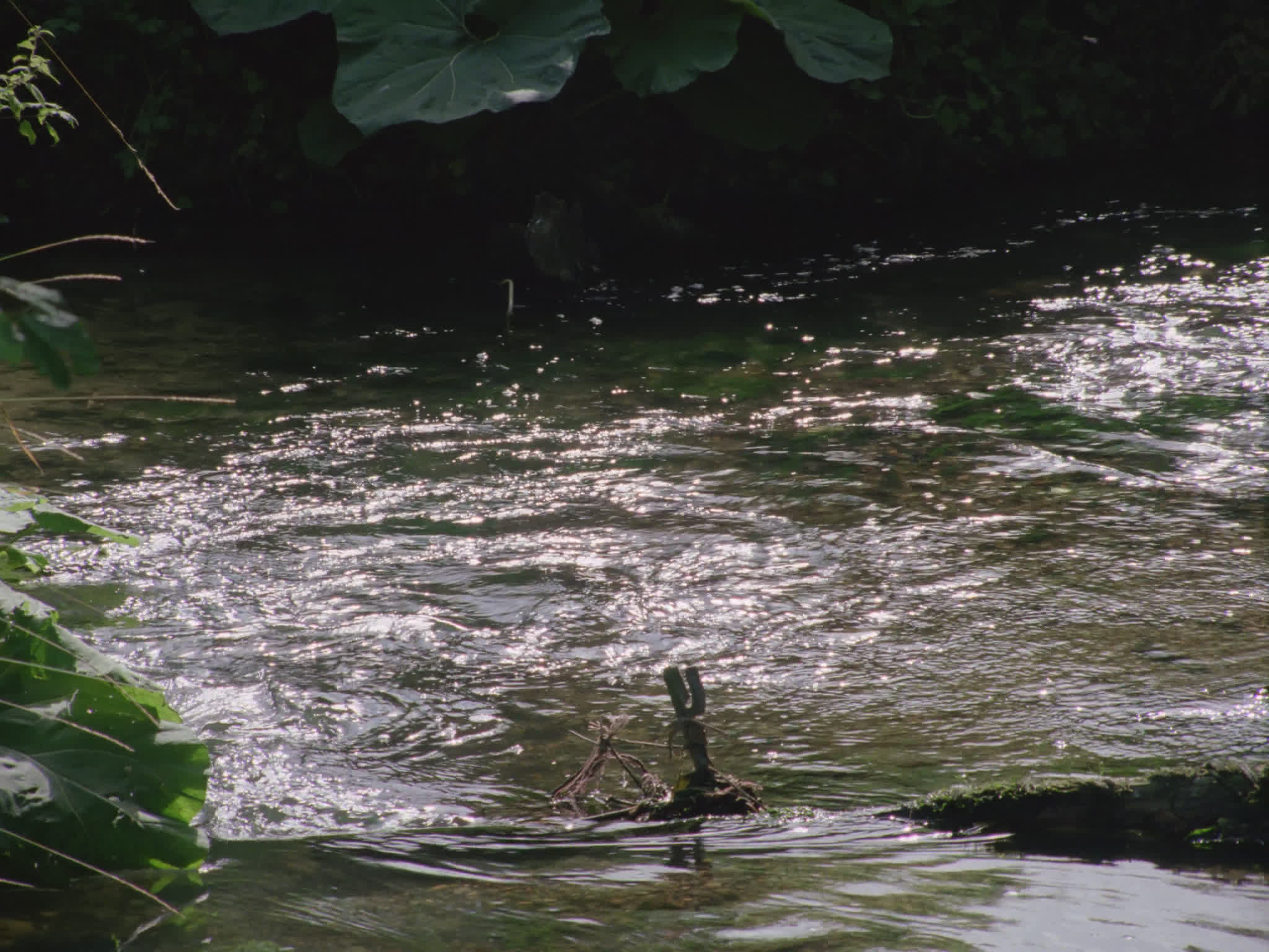 River