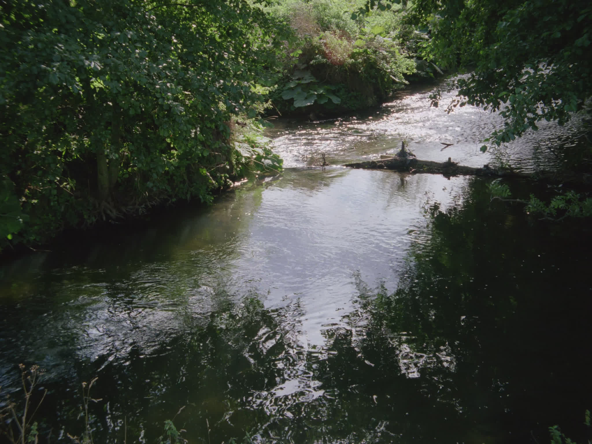River