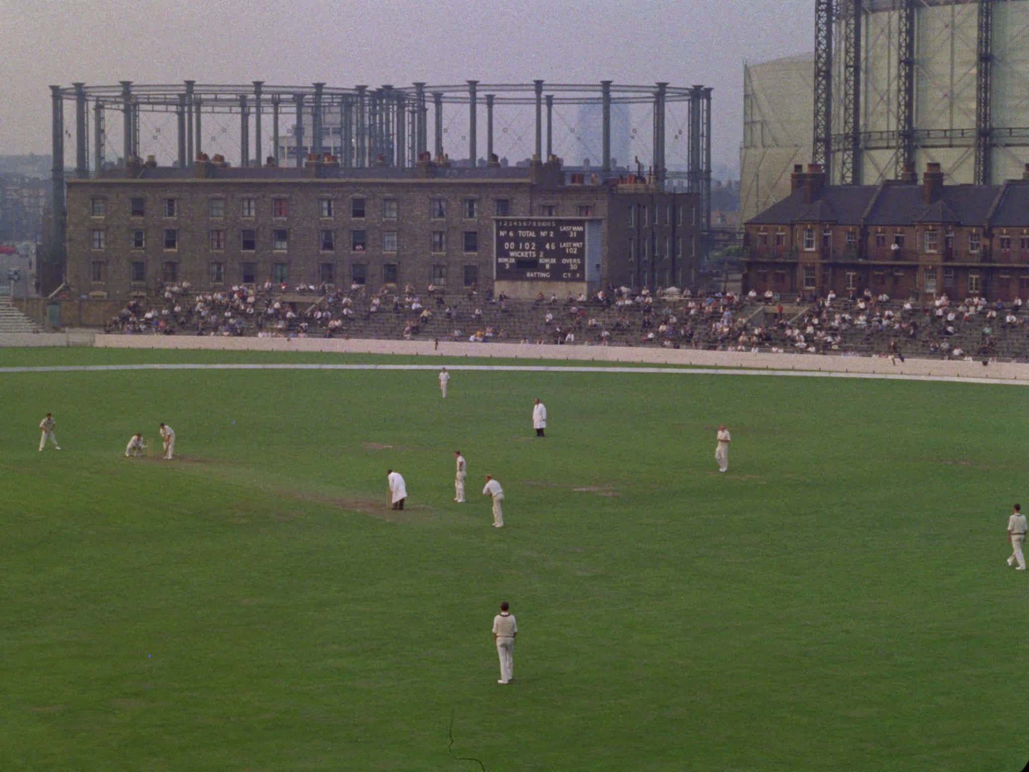 Cricket