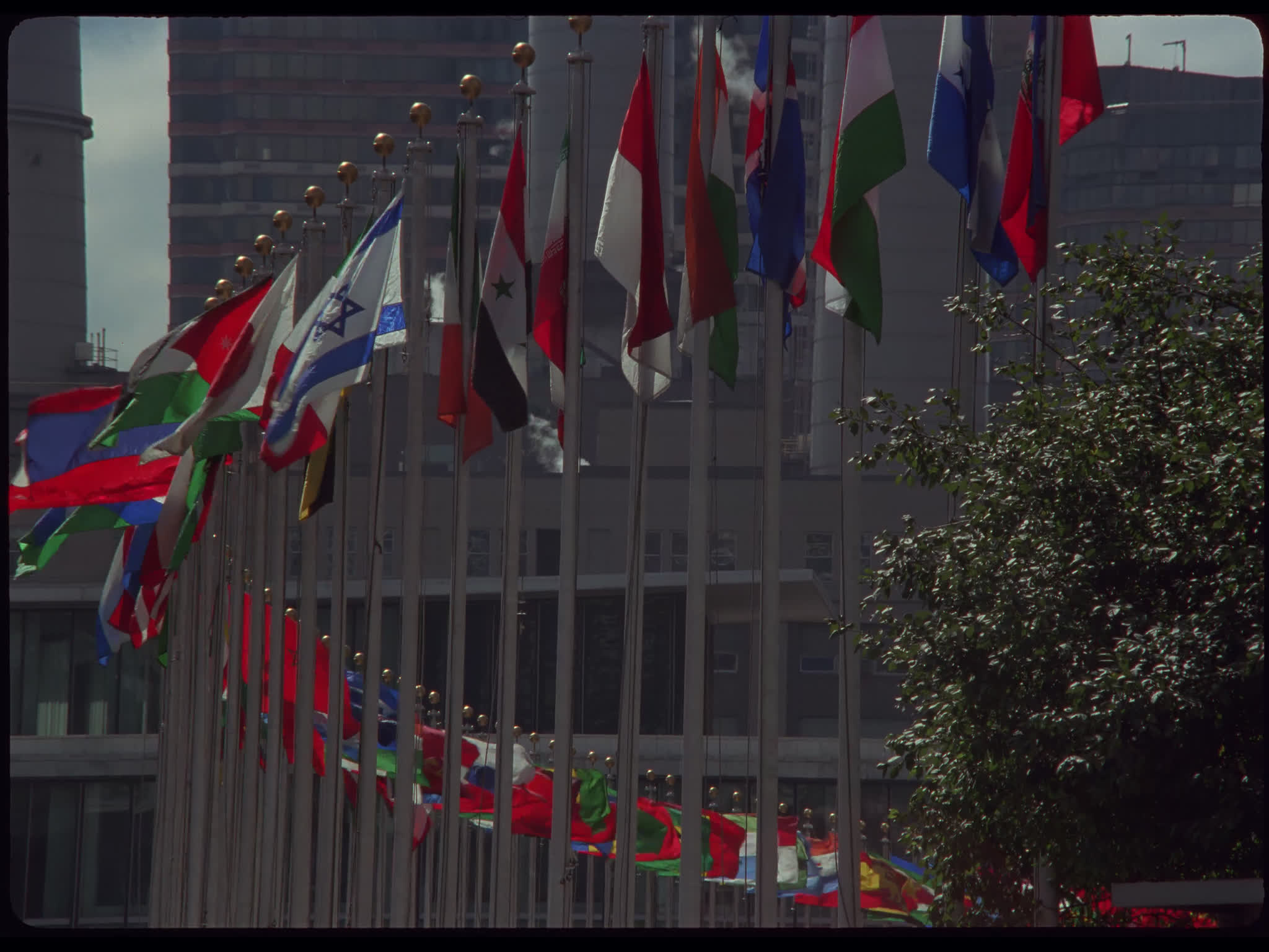 United Nations Flags