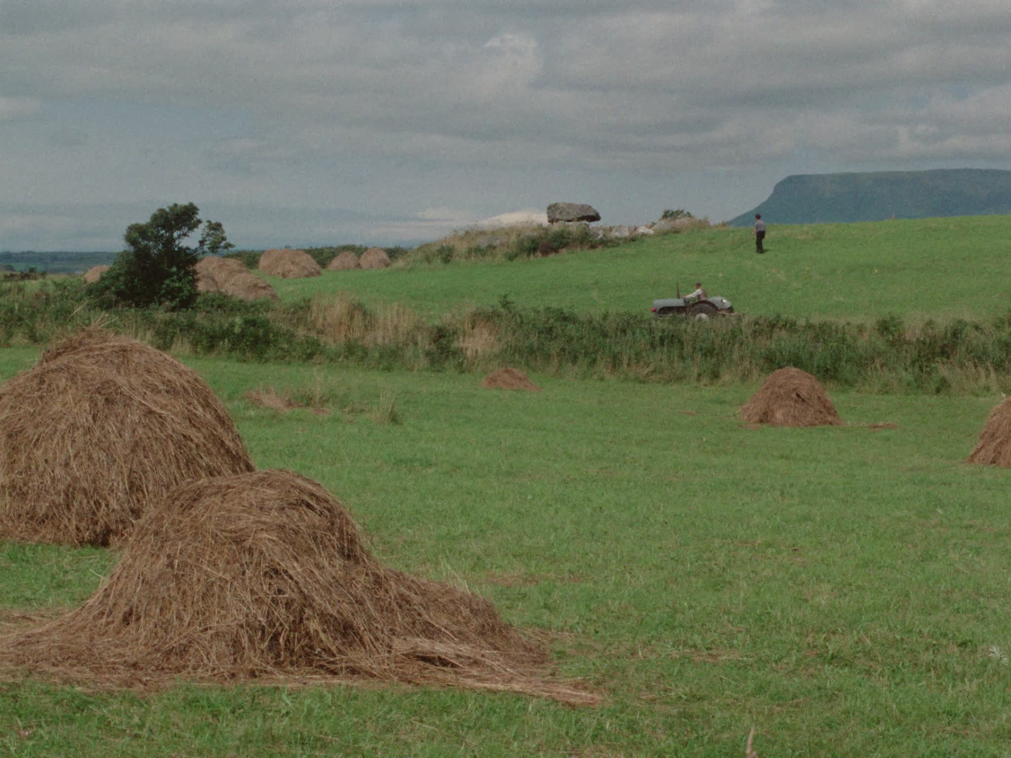 Hay Field