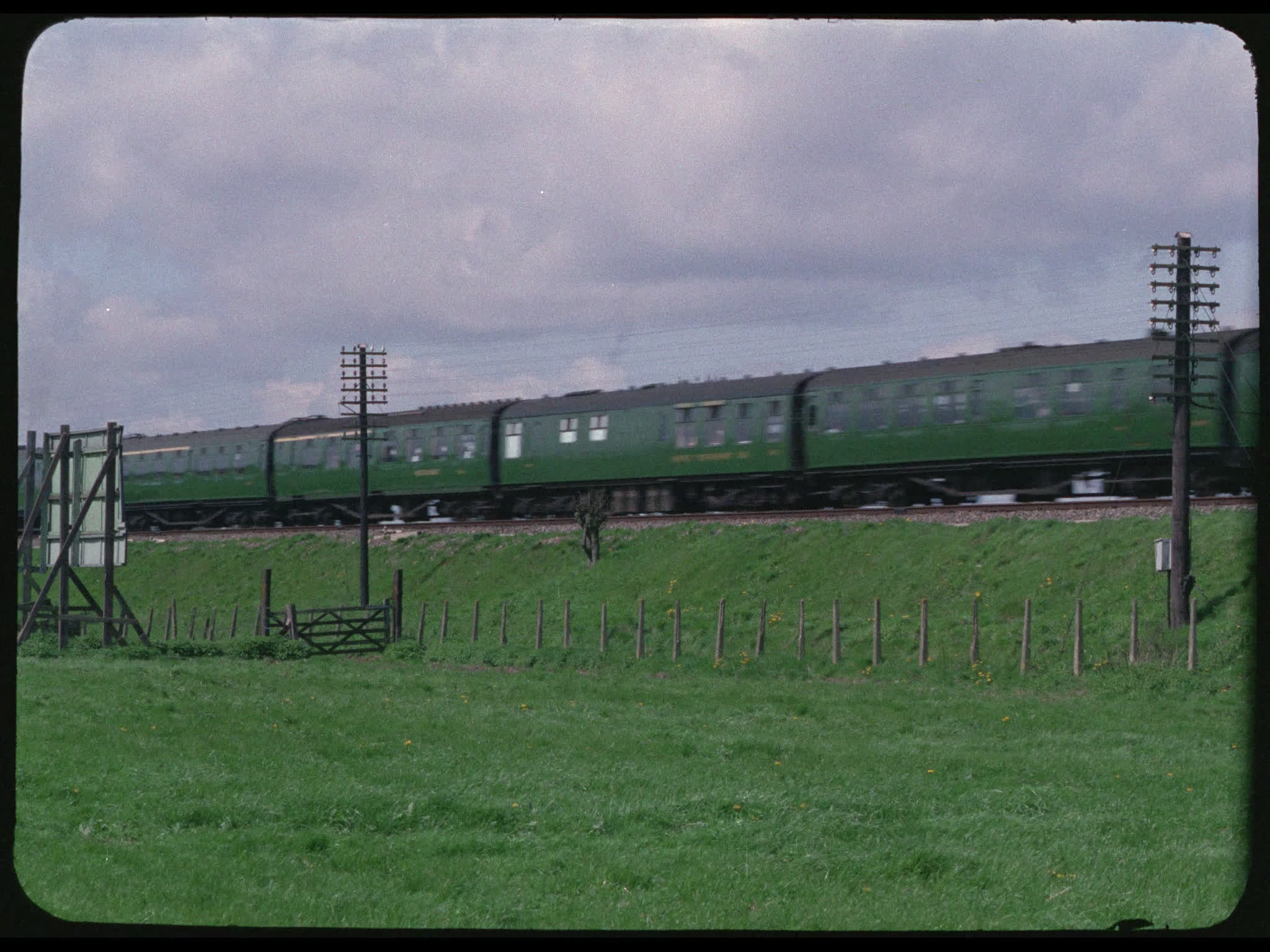 Steam Train