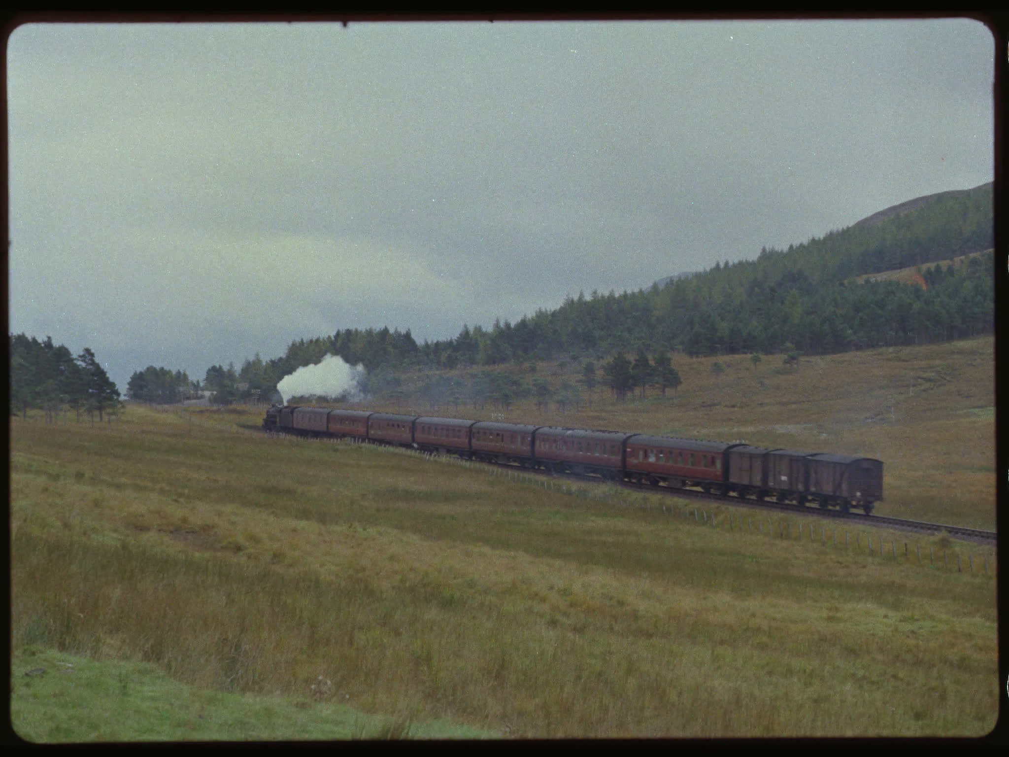 Steam Trains
