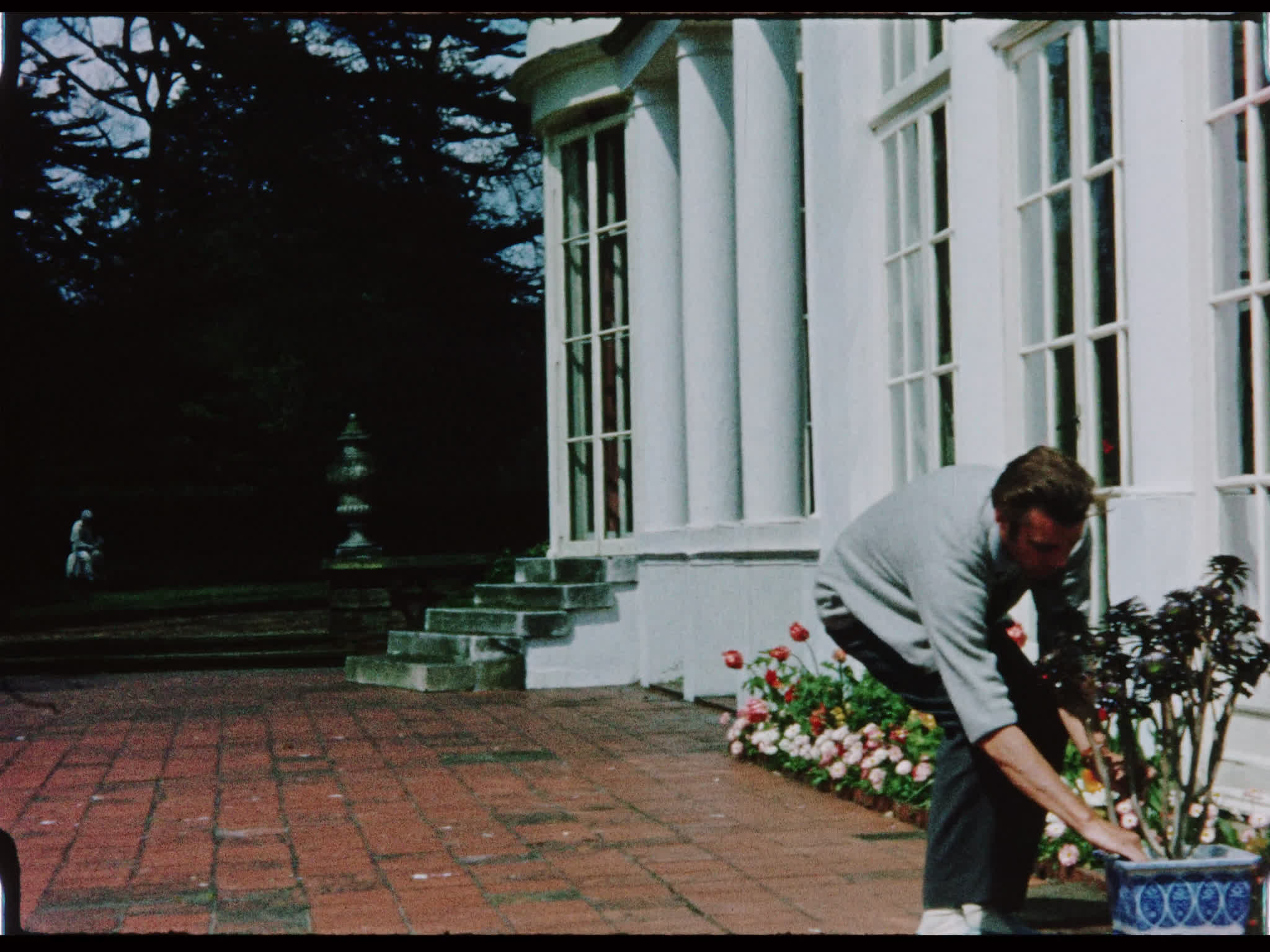 Dirk Bogarde Moves a Plant