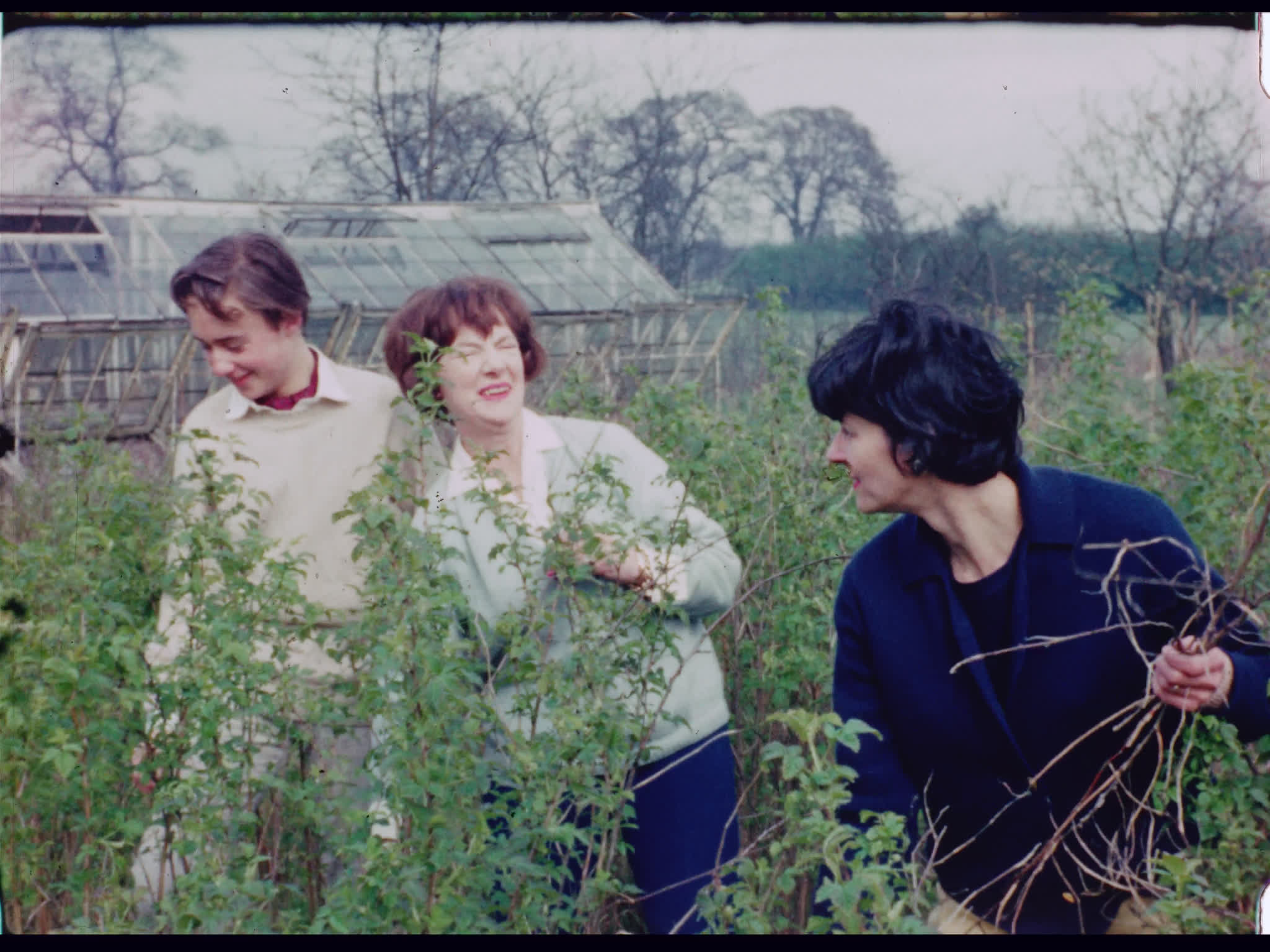 Bogarde Family Gardening at Drummers Yard