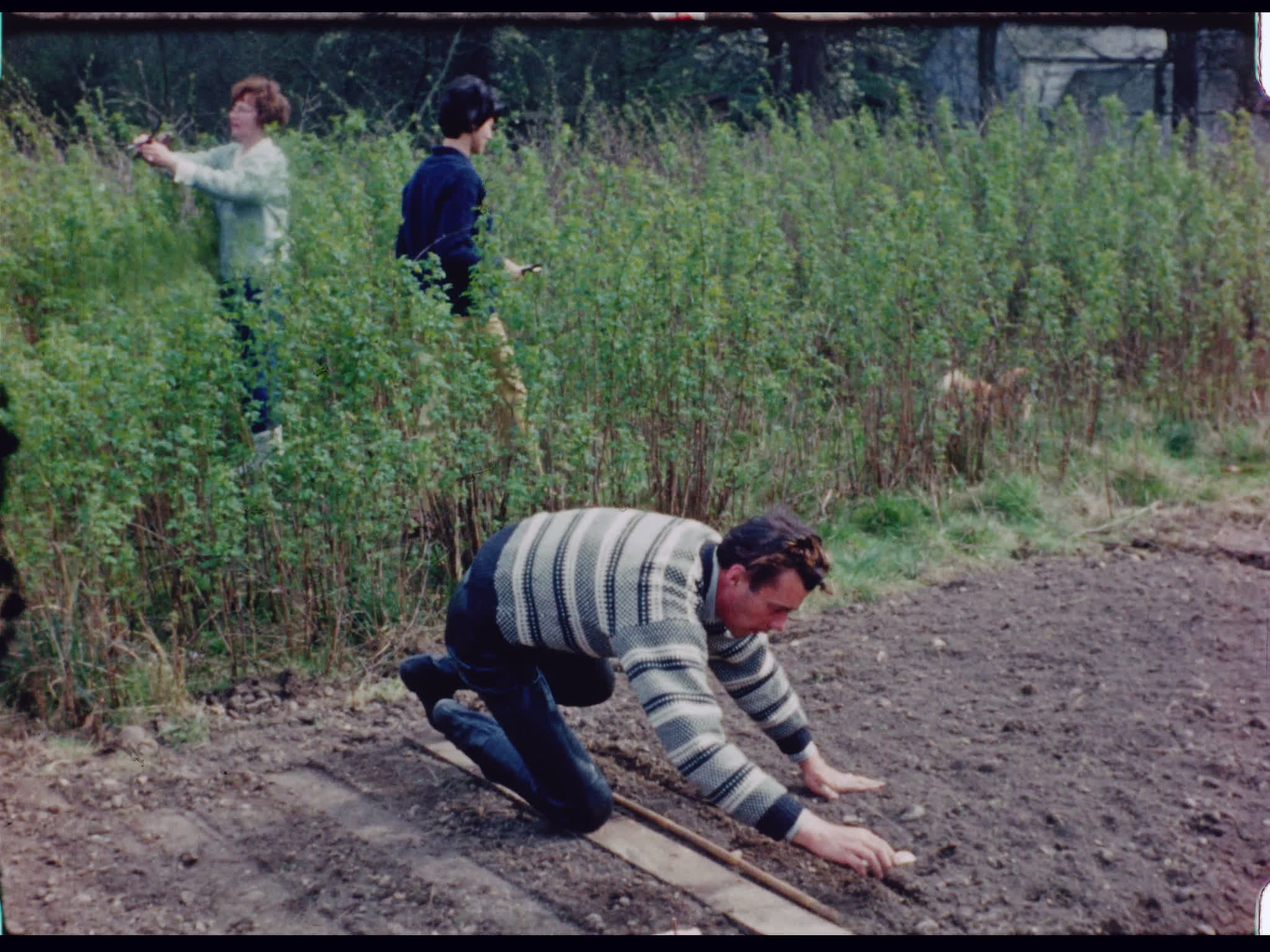 Dirk Bogarde Gardening