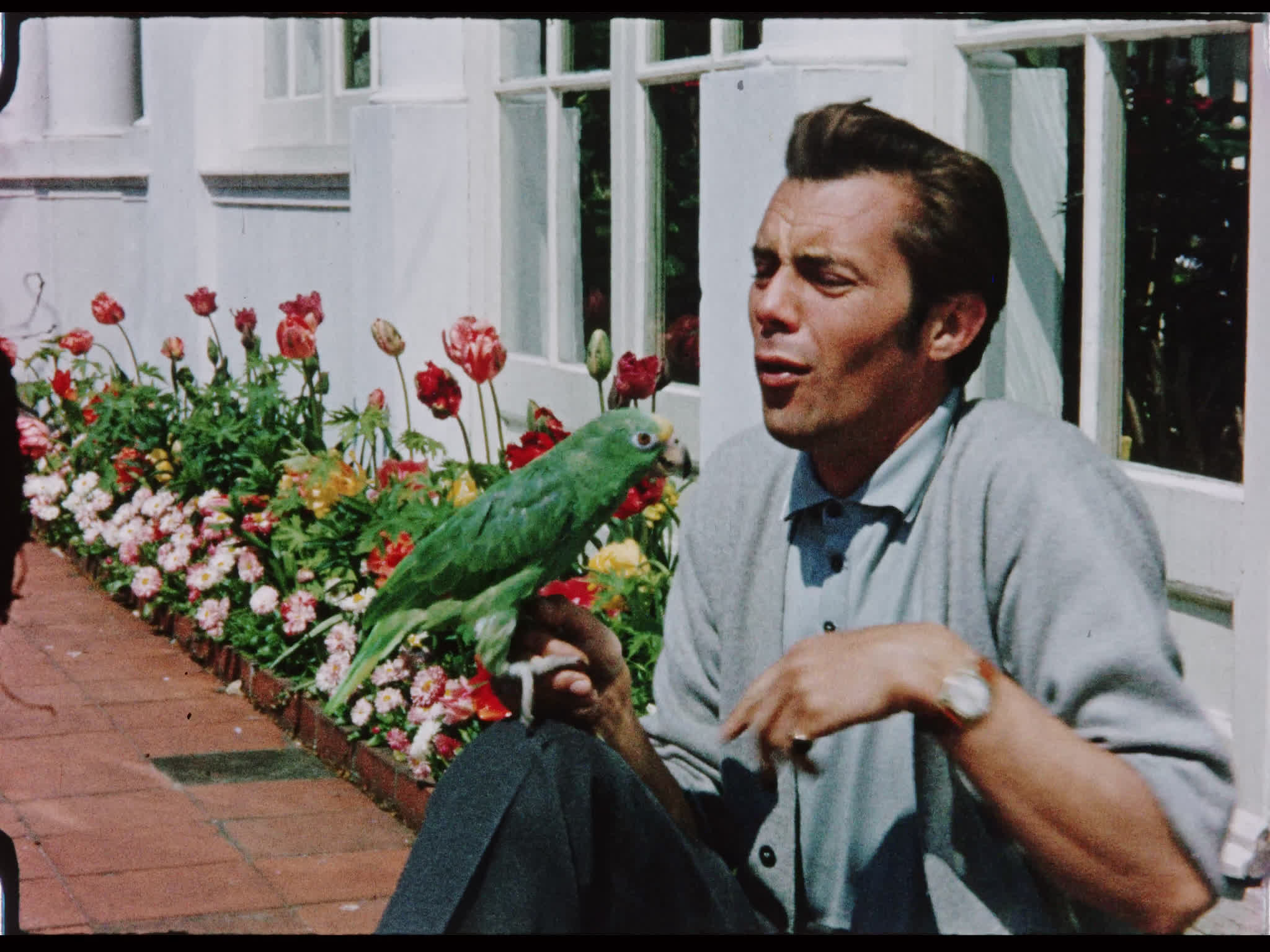 Dirk Bogarde and Annie the Parrot