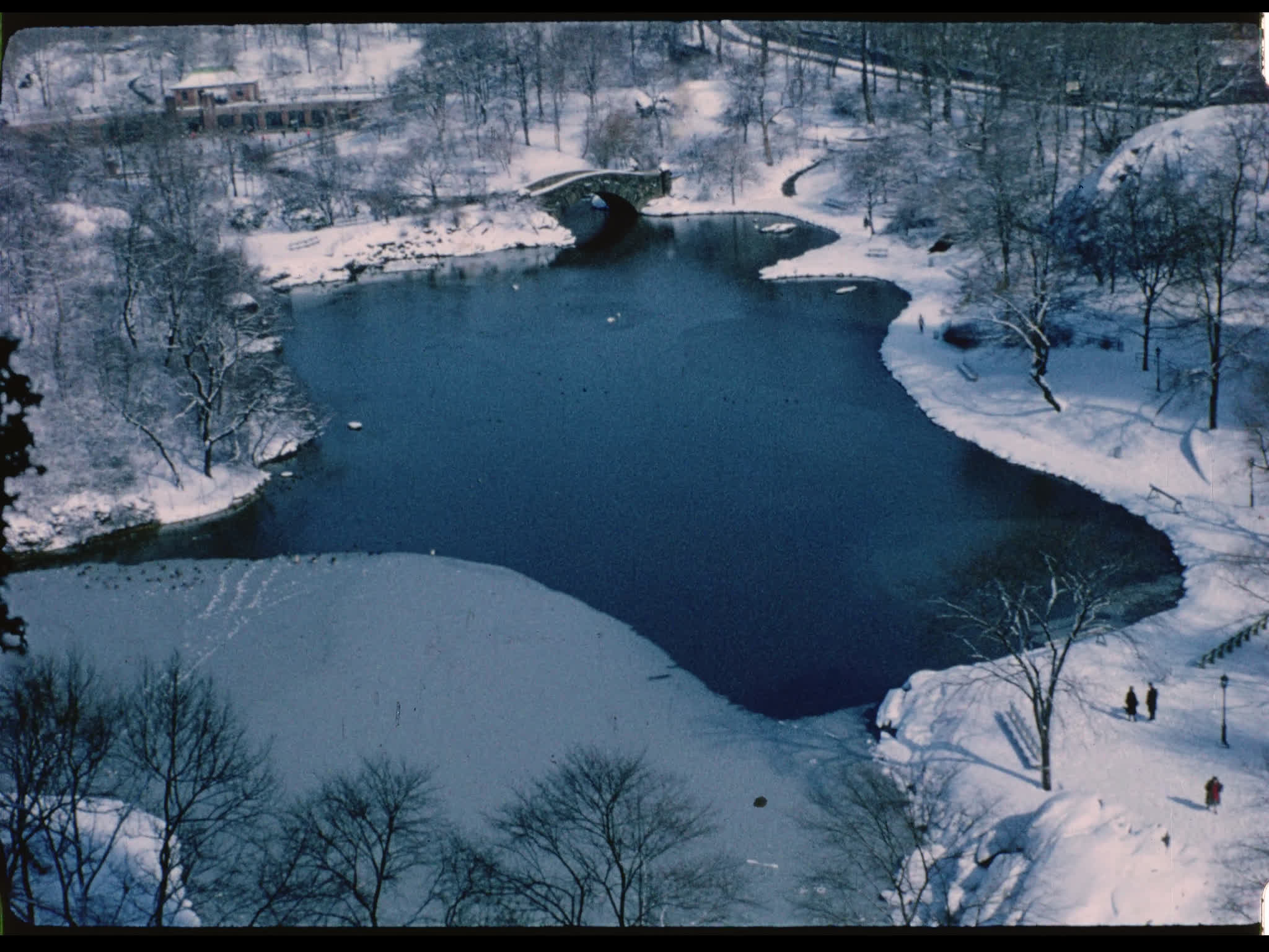 Central Park in Winter